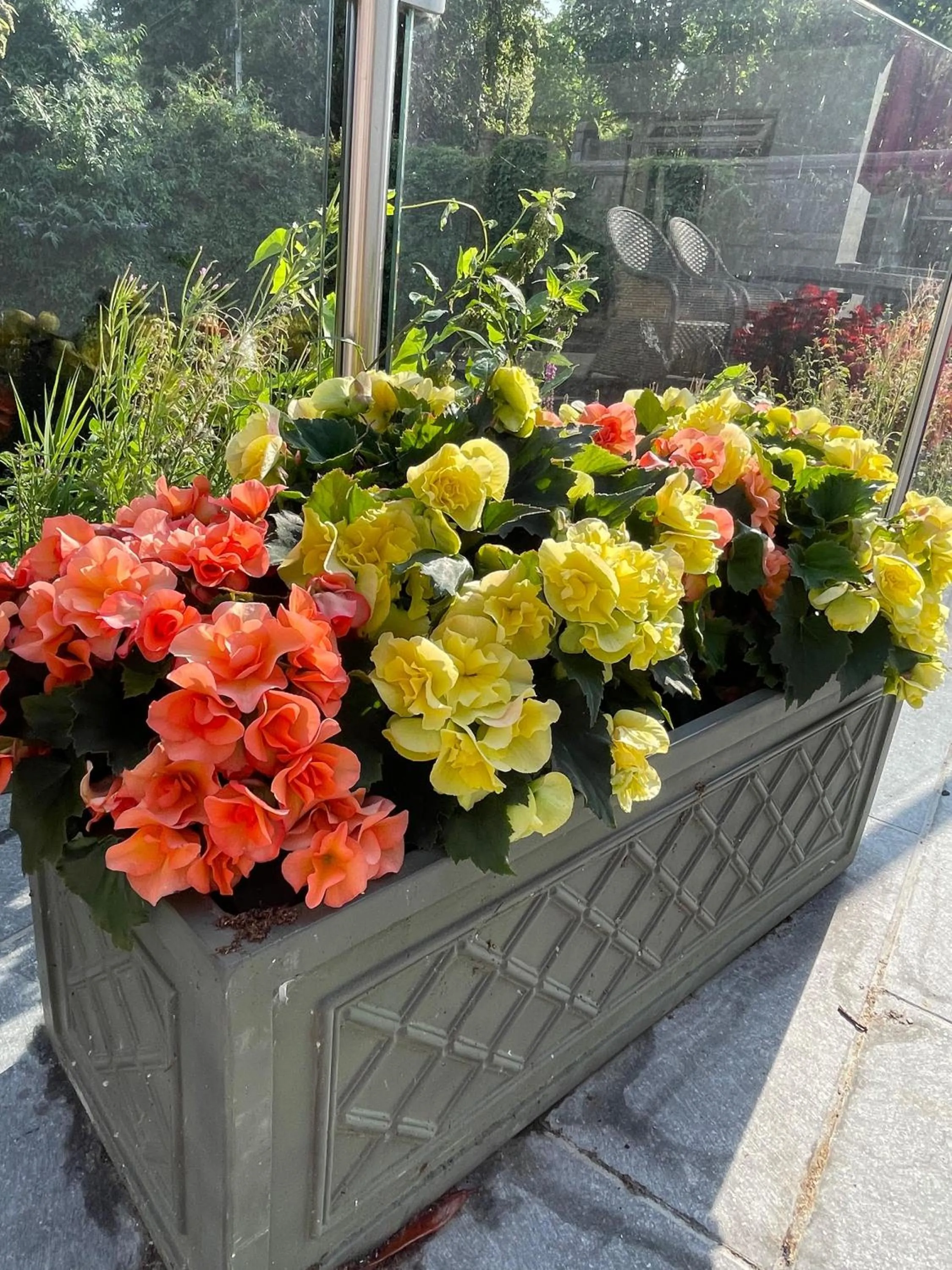 Spring in Shandon Bells Guest House