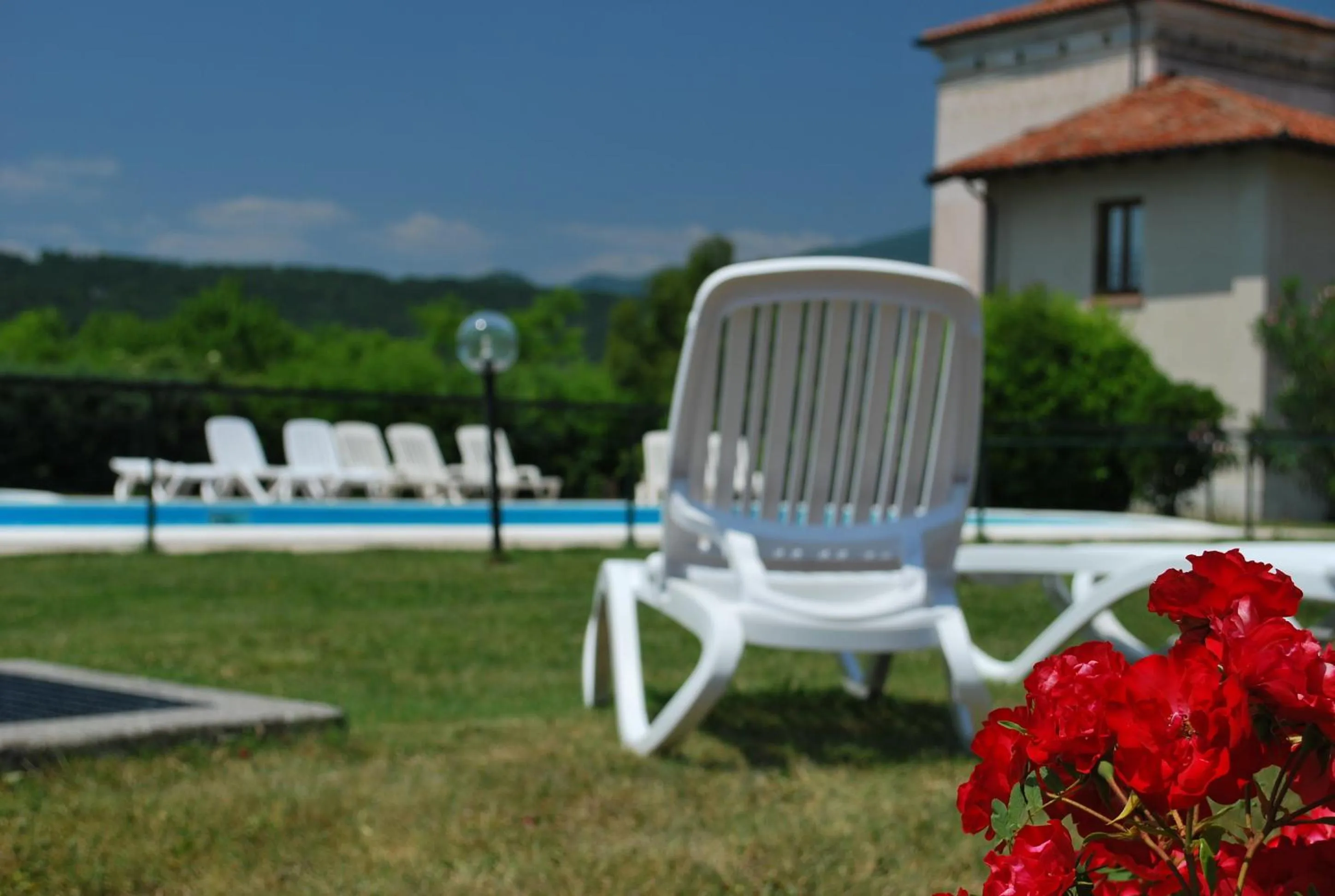 Swimming pool in Il Colombaro