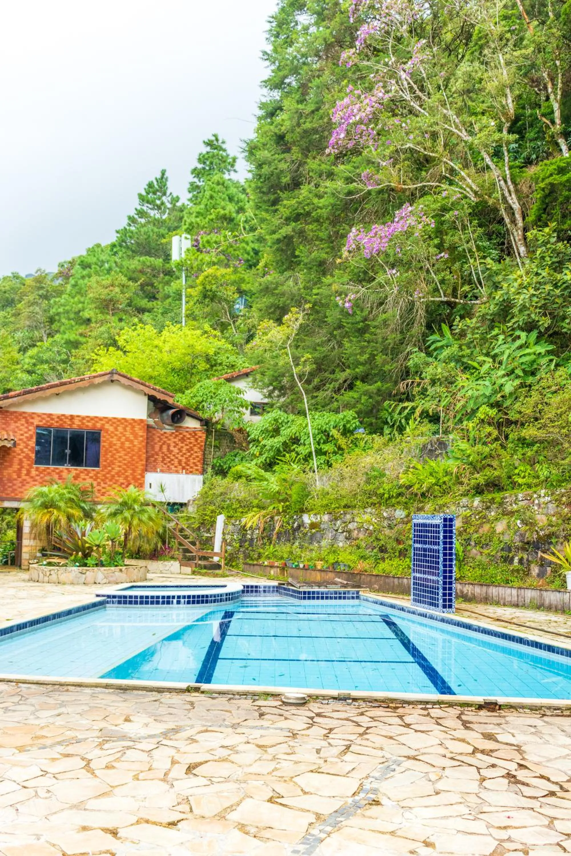 Natural landscape in Hotel Bel Air