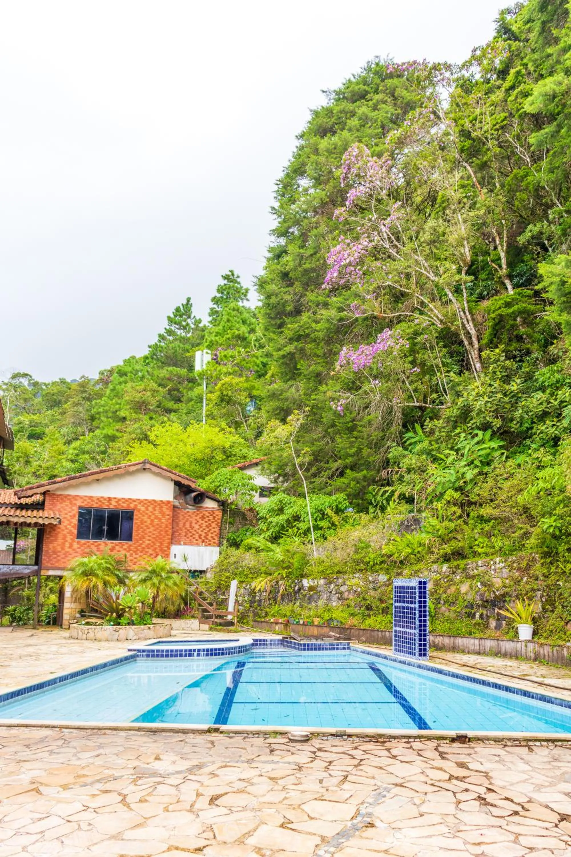 Natural landscape in Hotel Bel Air
