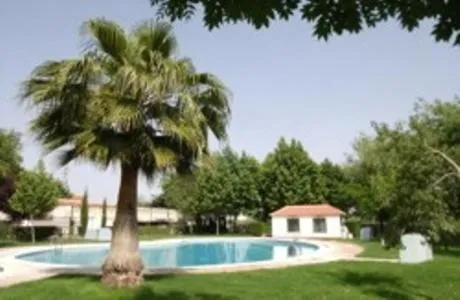 Swimming pool in Hotel Alfar