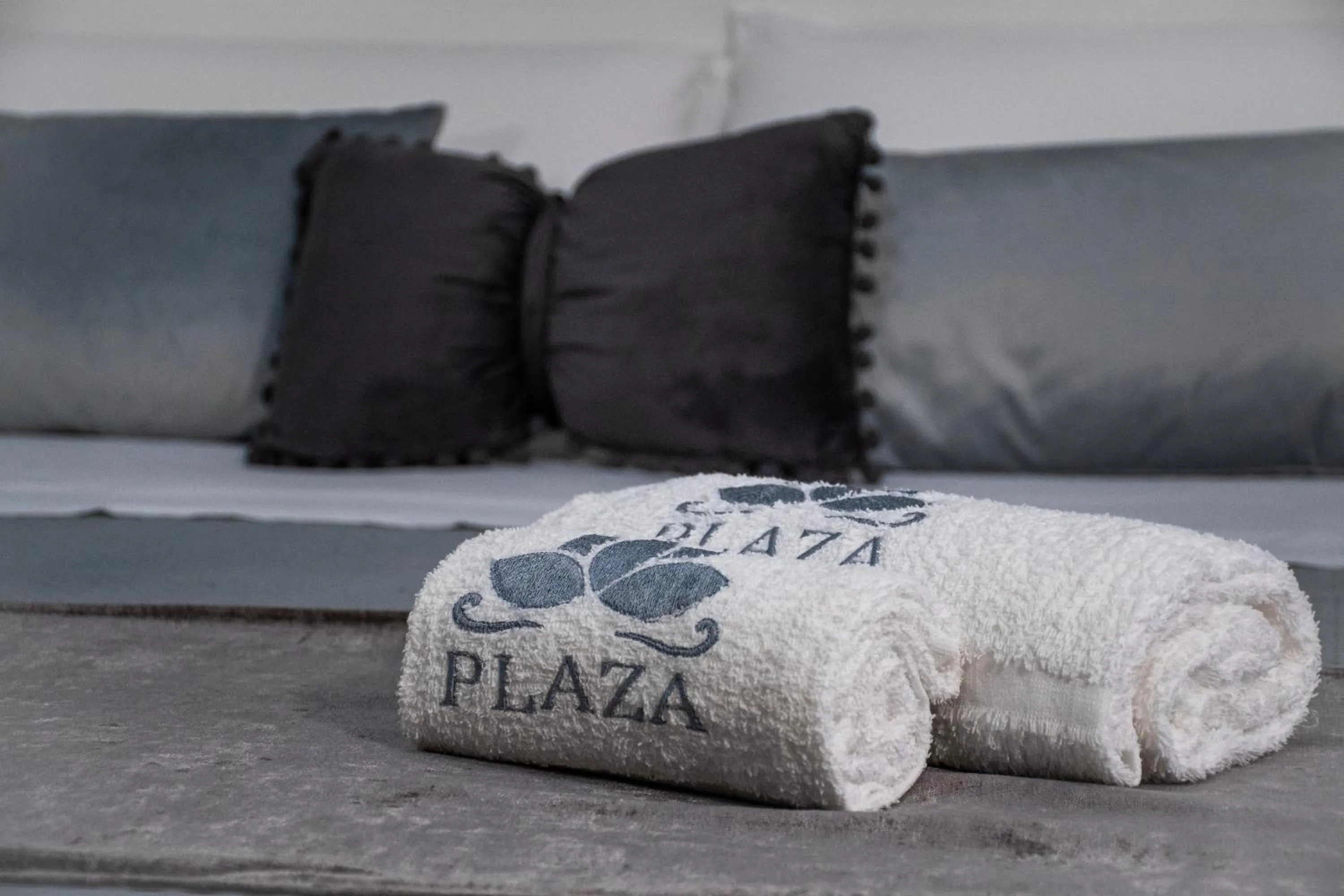 Decorative detail in B&B PLAZA