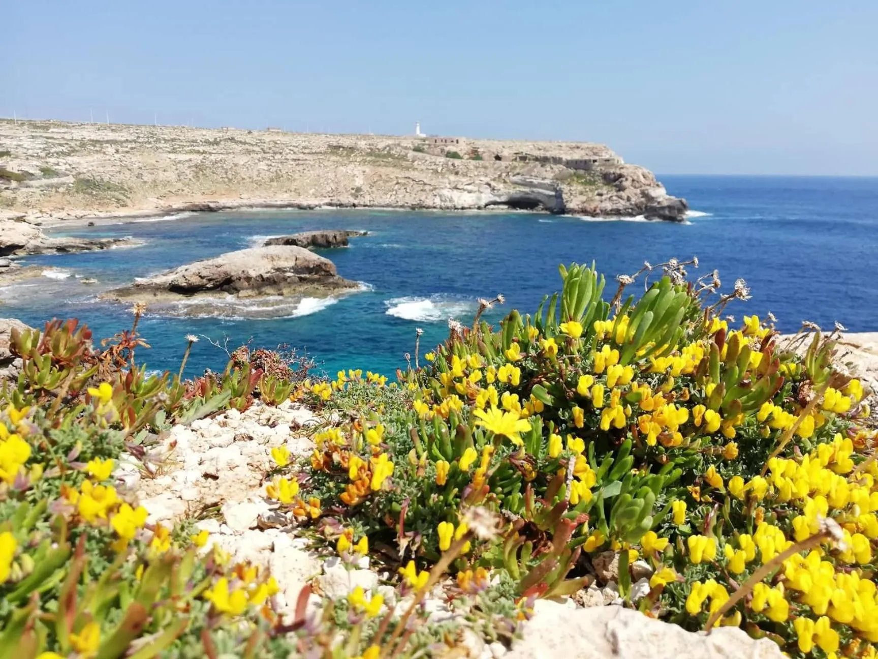 Sea view in B&B PLAZA