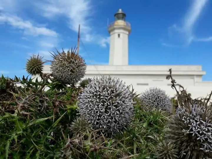 Nearby landmark in B&B PLAZA