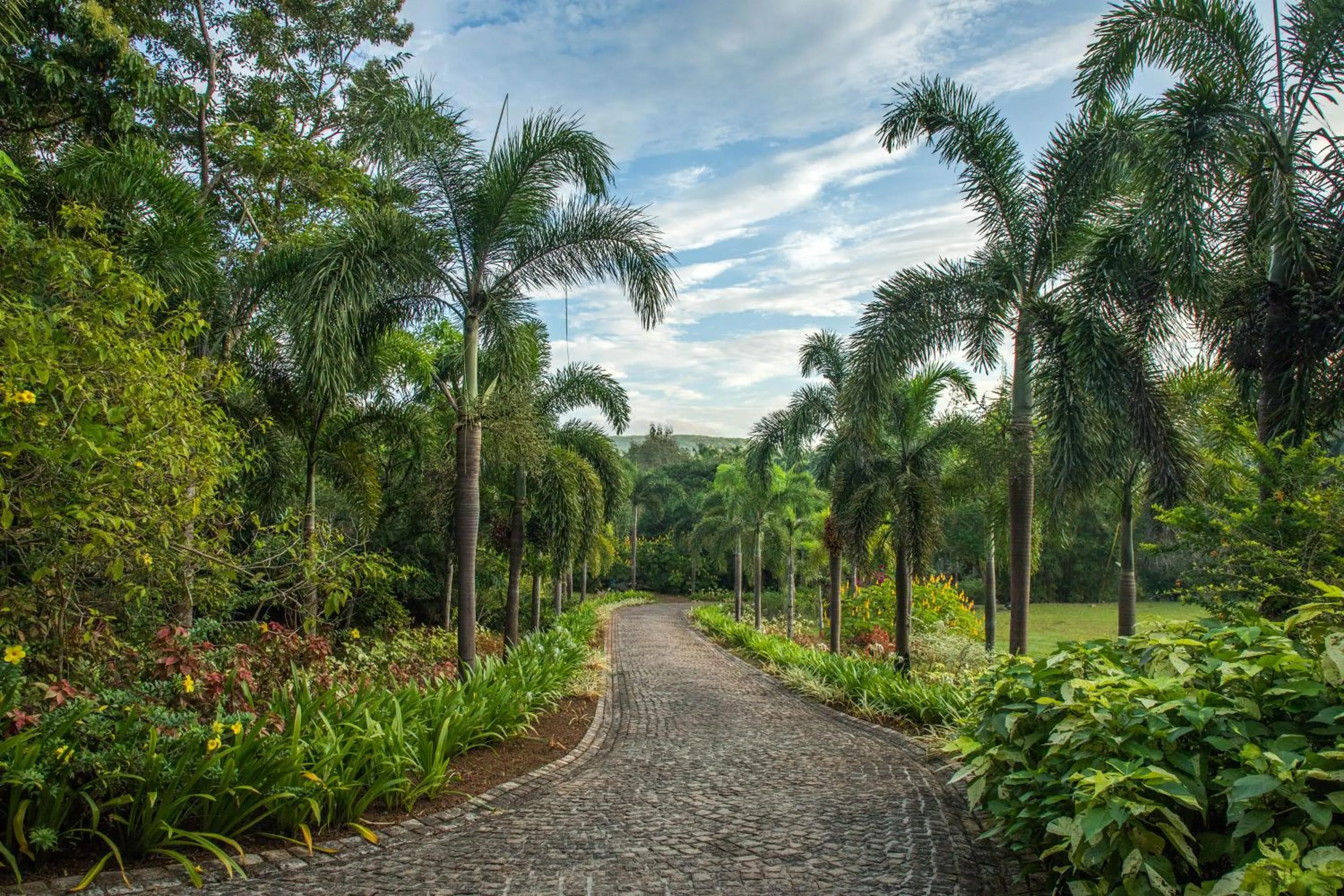 Natural landscape in Kahani Paradise