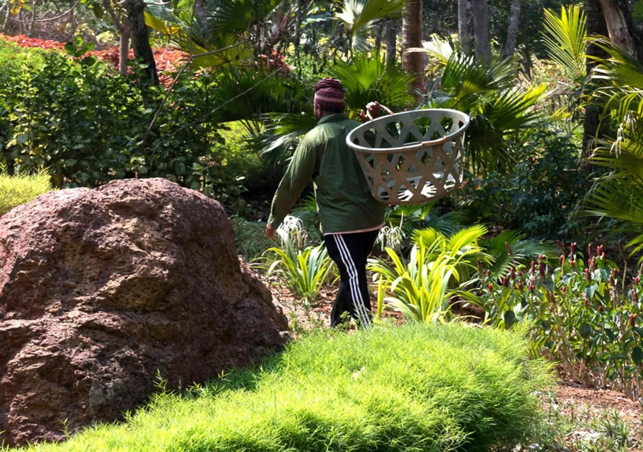 Garden in Kahani Paradise