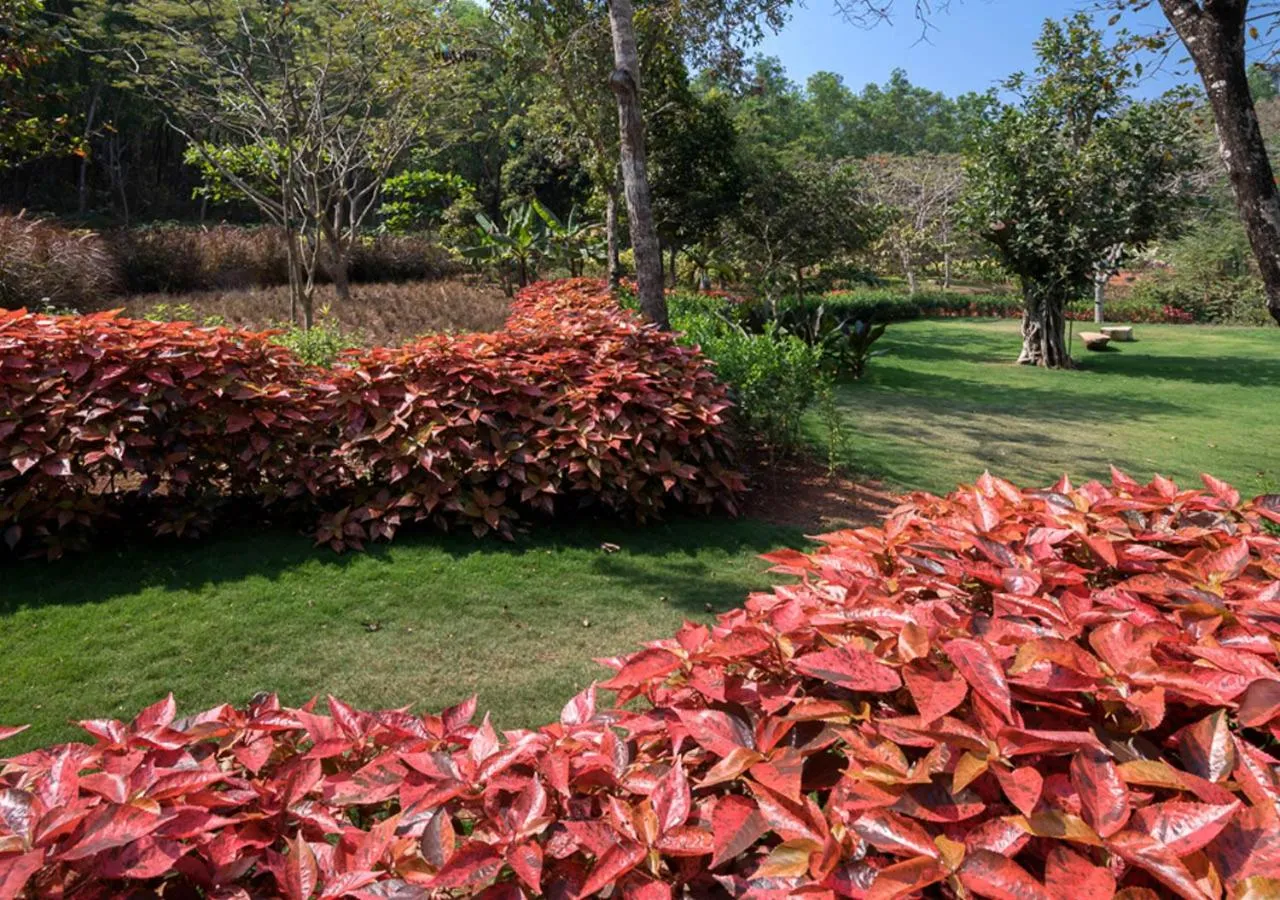 Garden view in Kahani Paradise
