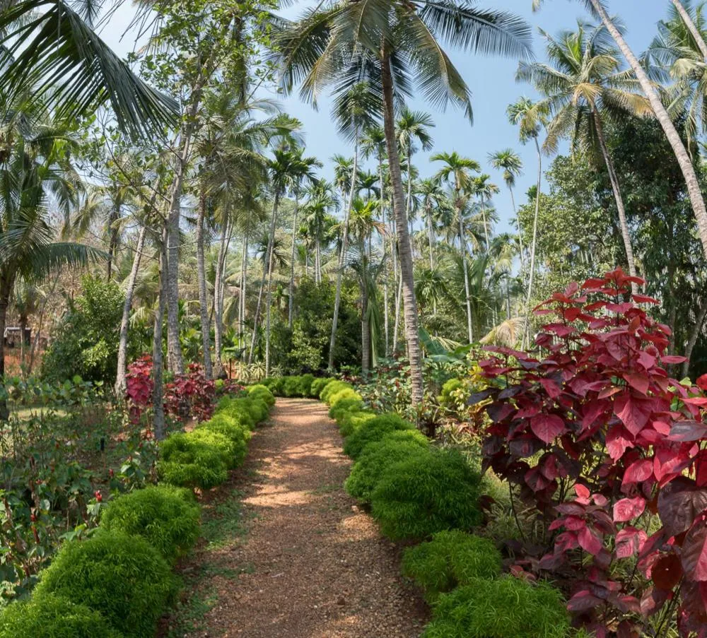 Garden in Kahani Paradise