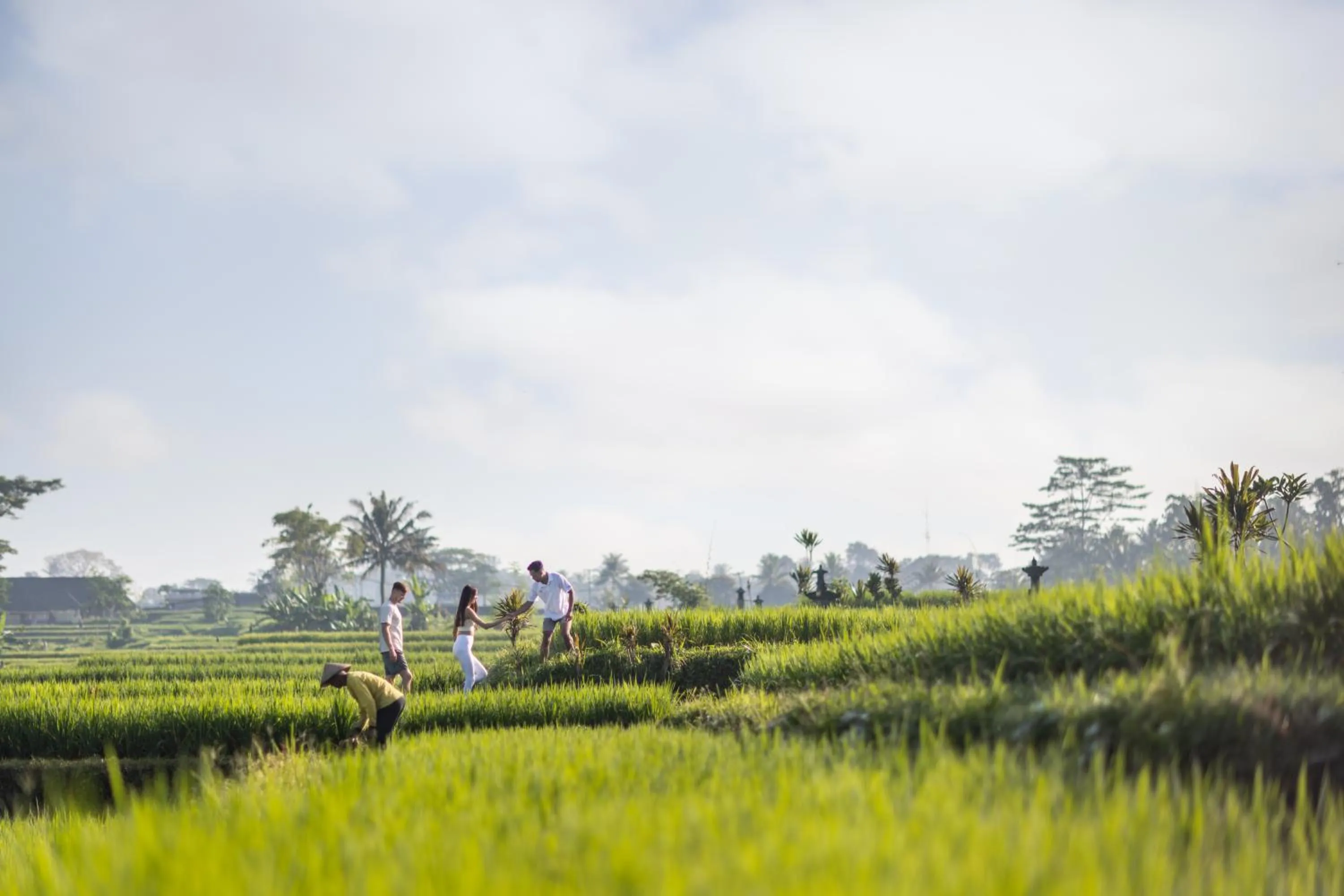 Natural landscape in Pramana Watu Kurung