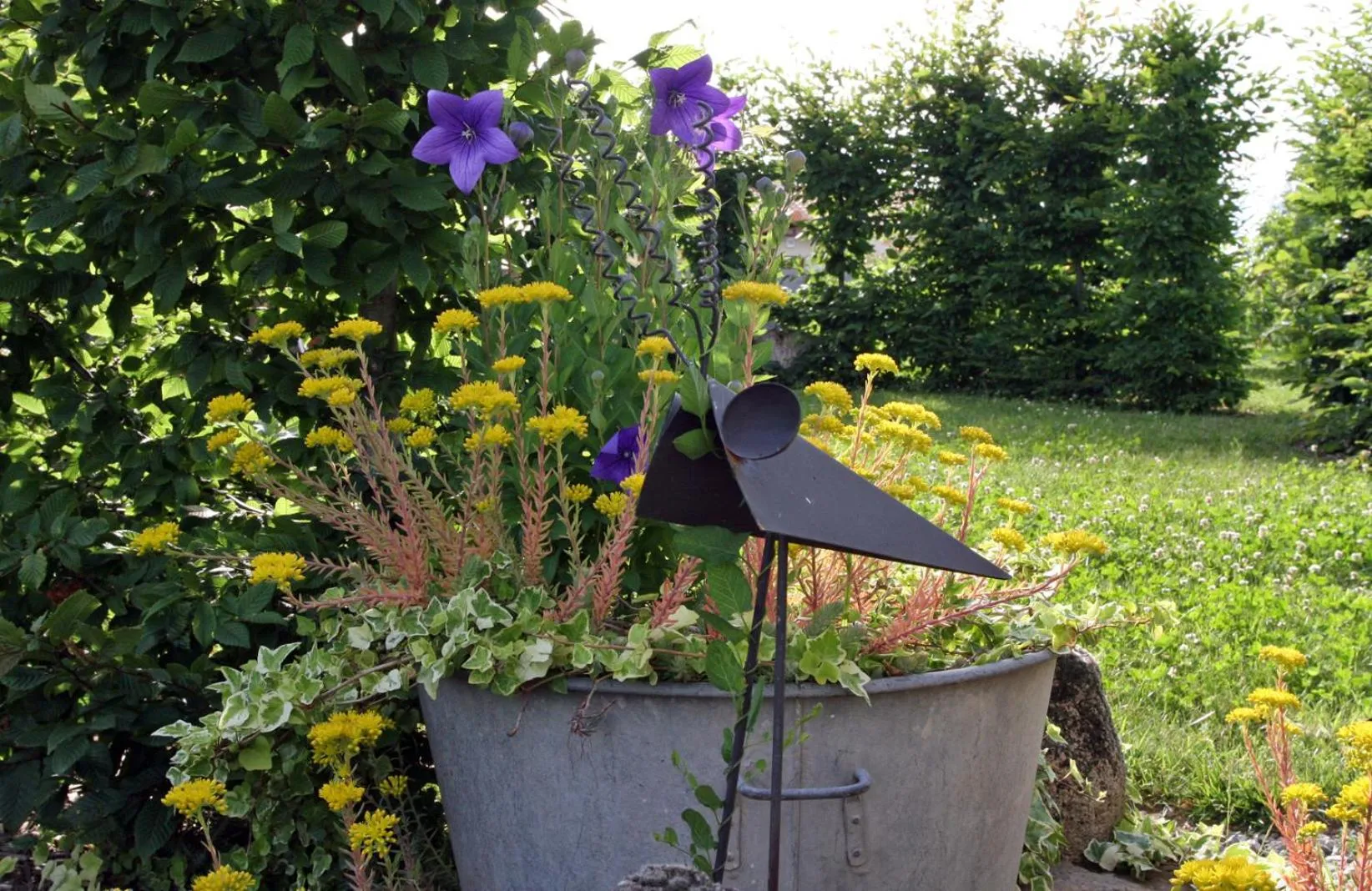 Garden in Les 3 Vallées
