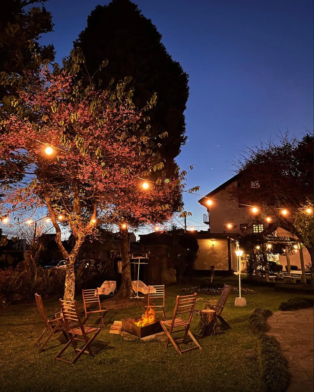 Garden in Hotel Petrópolis