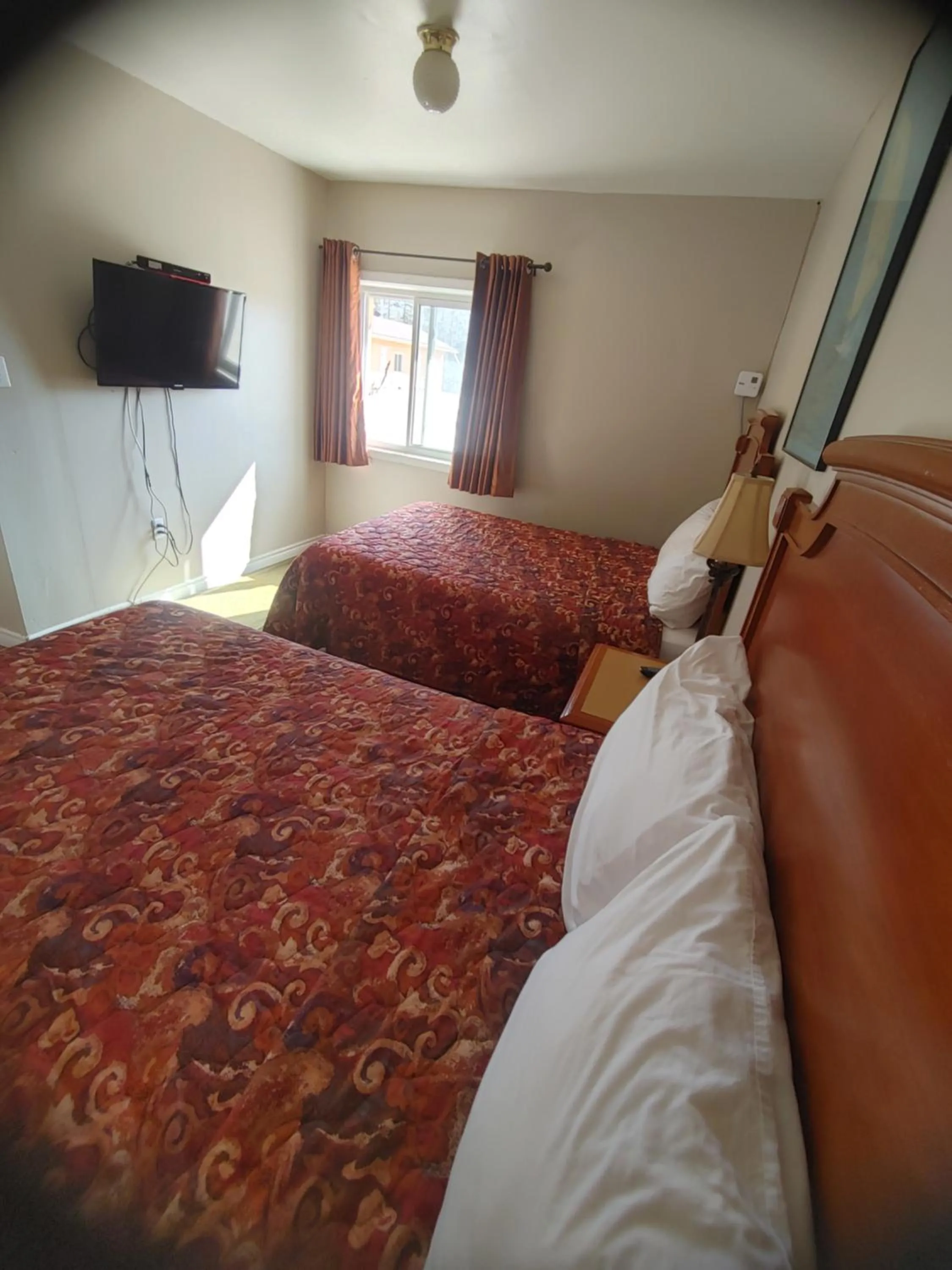 Bed in Relax Inn-Collingwood