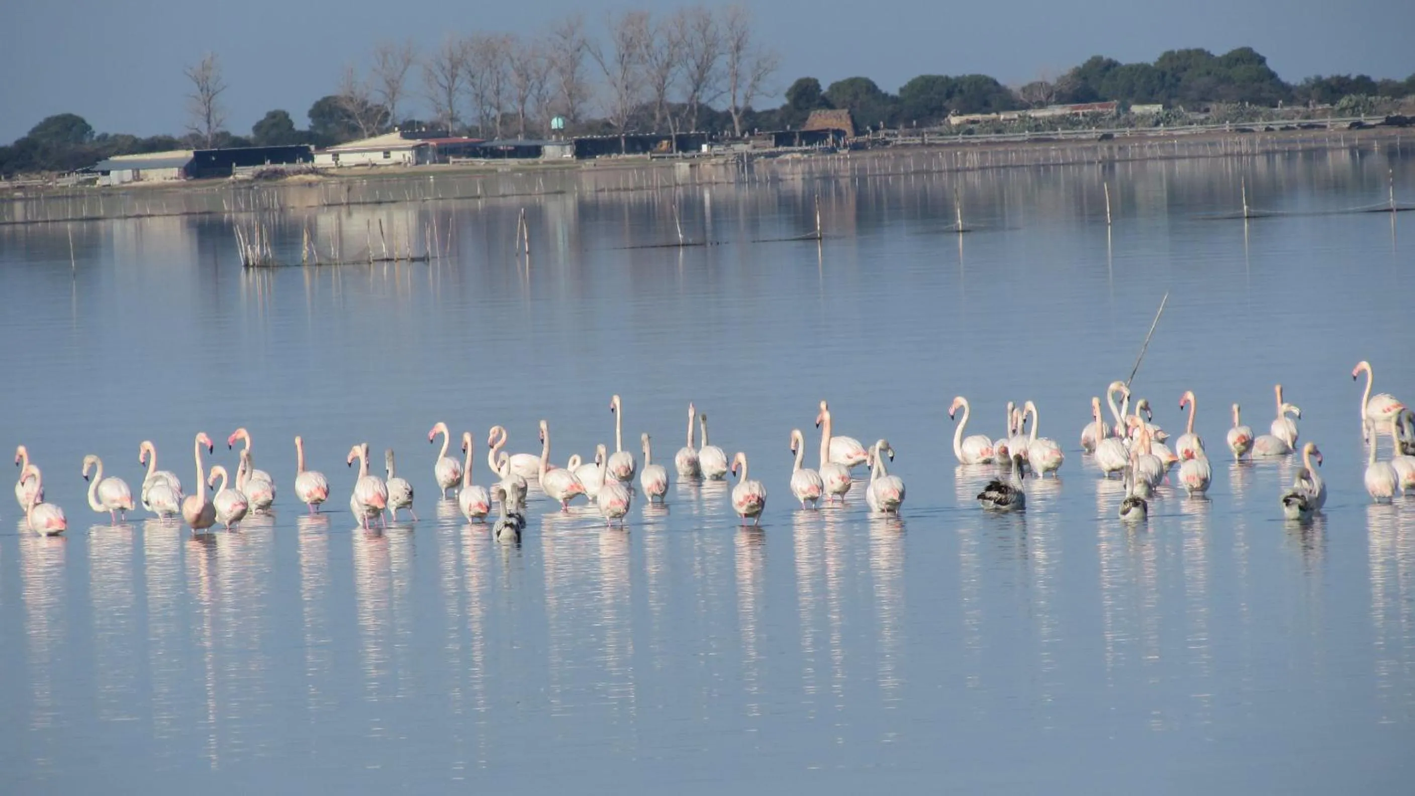 Nearby landmark in L'ISOLA AeR B&B