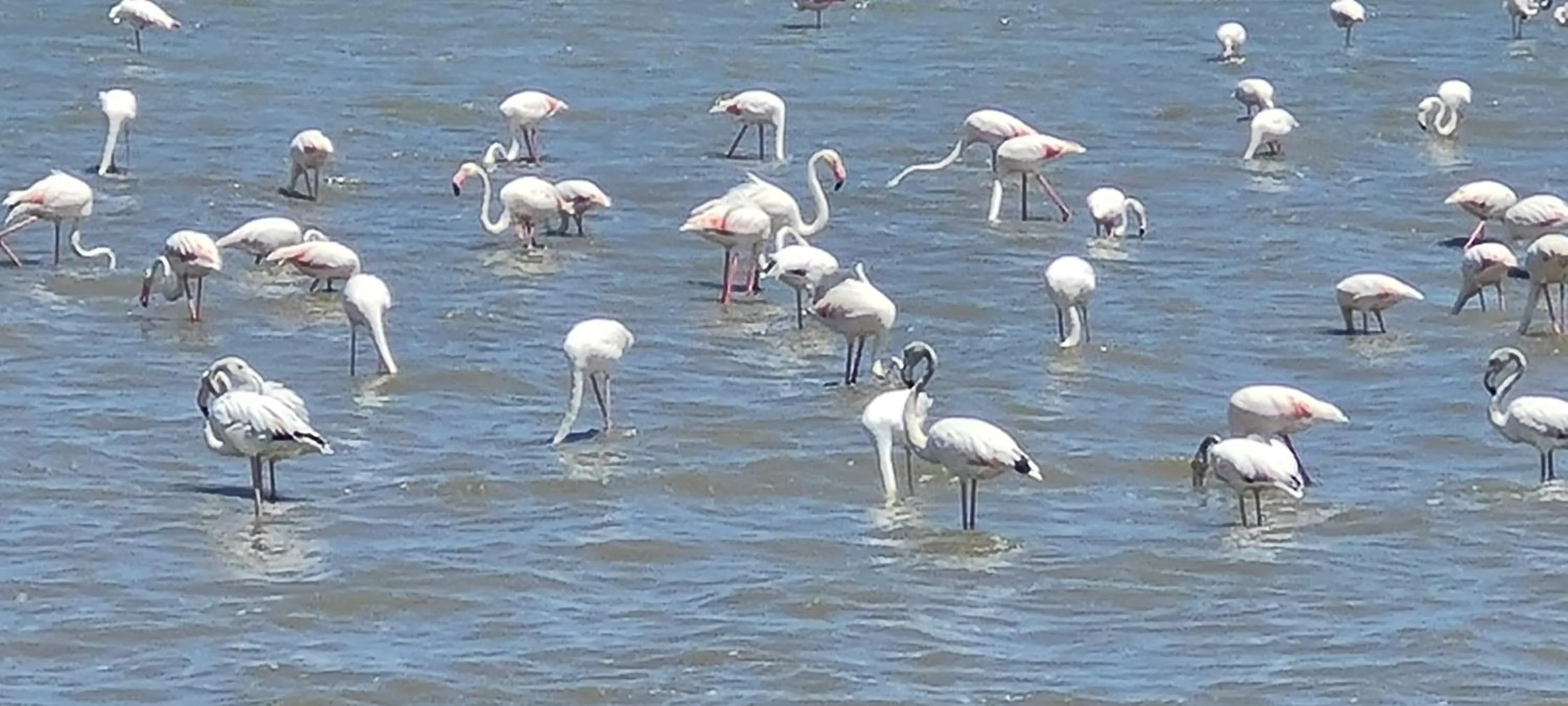 Natural landscape in L'ISOLA AeR B&B