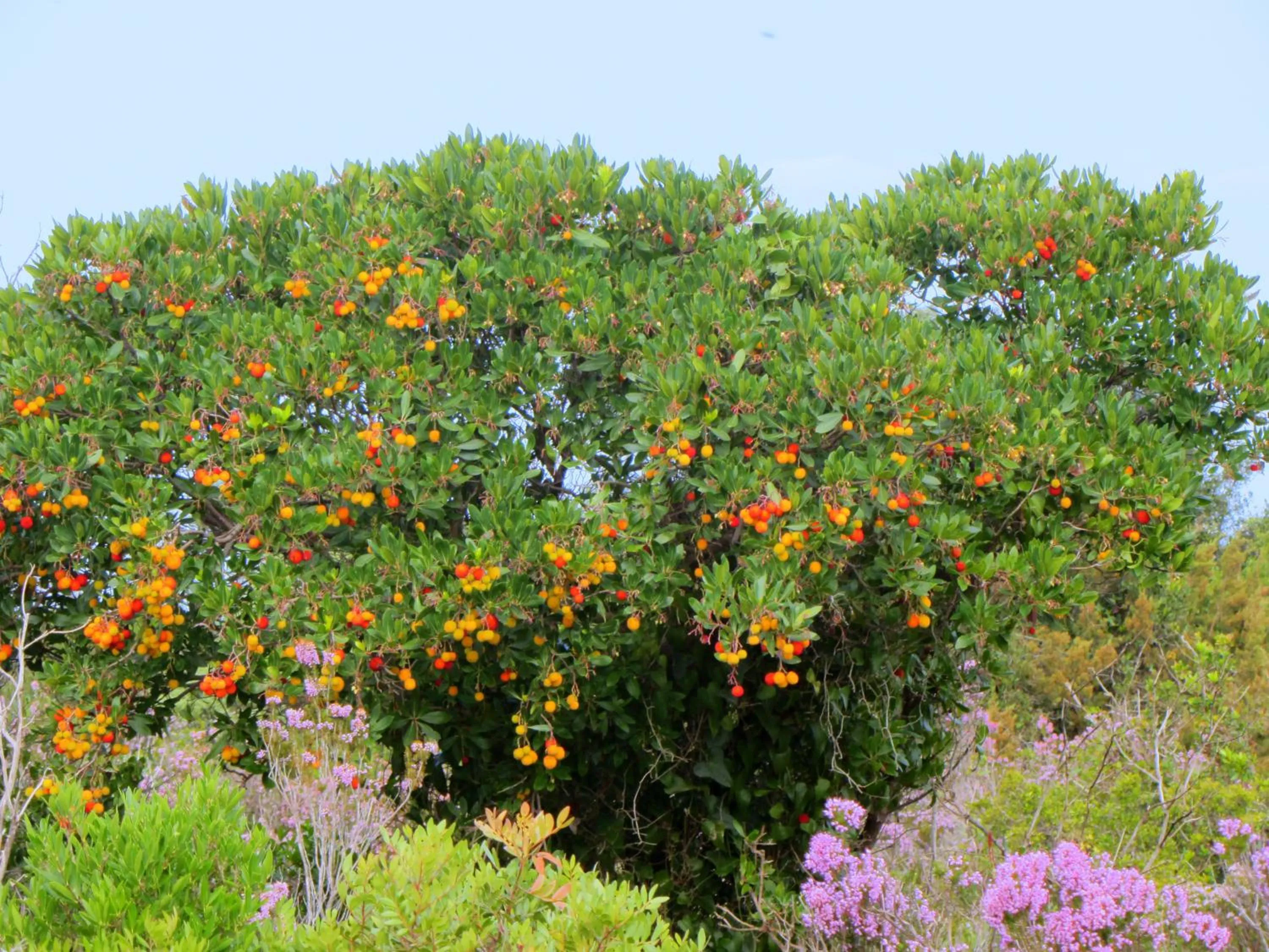 Natural landscape in L'ISOLA AeR B&B