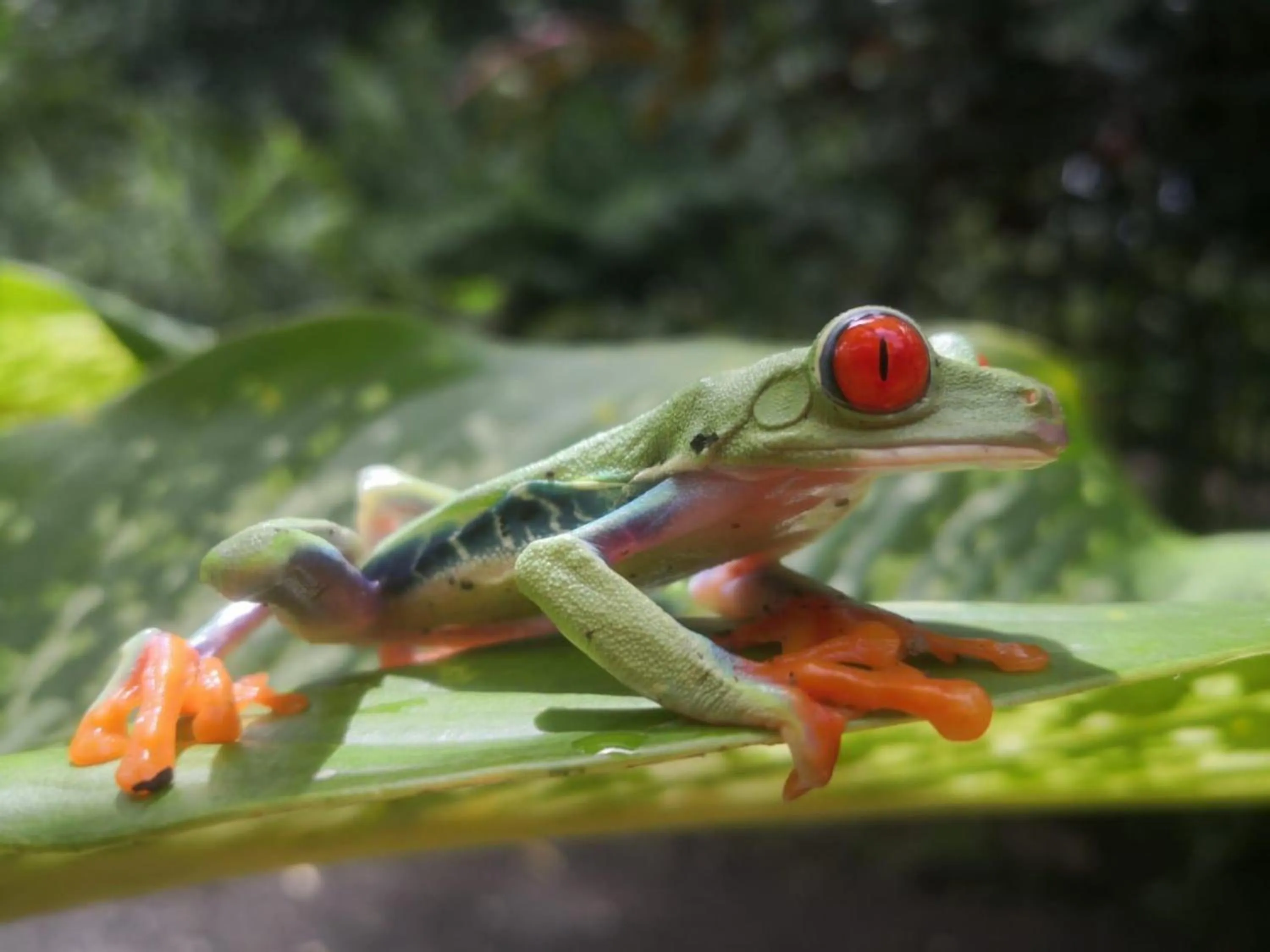 Natural landscape in Blue River Resort & Hot Springs