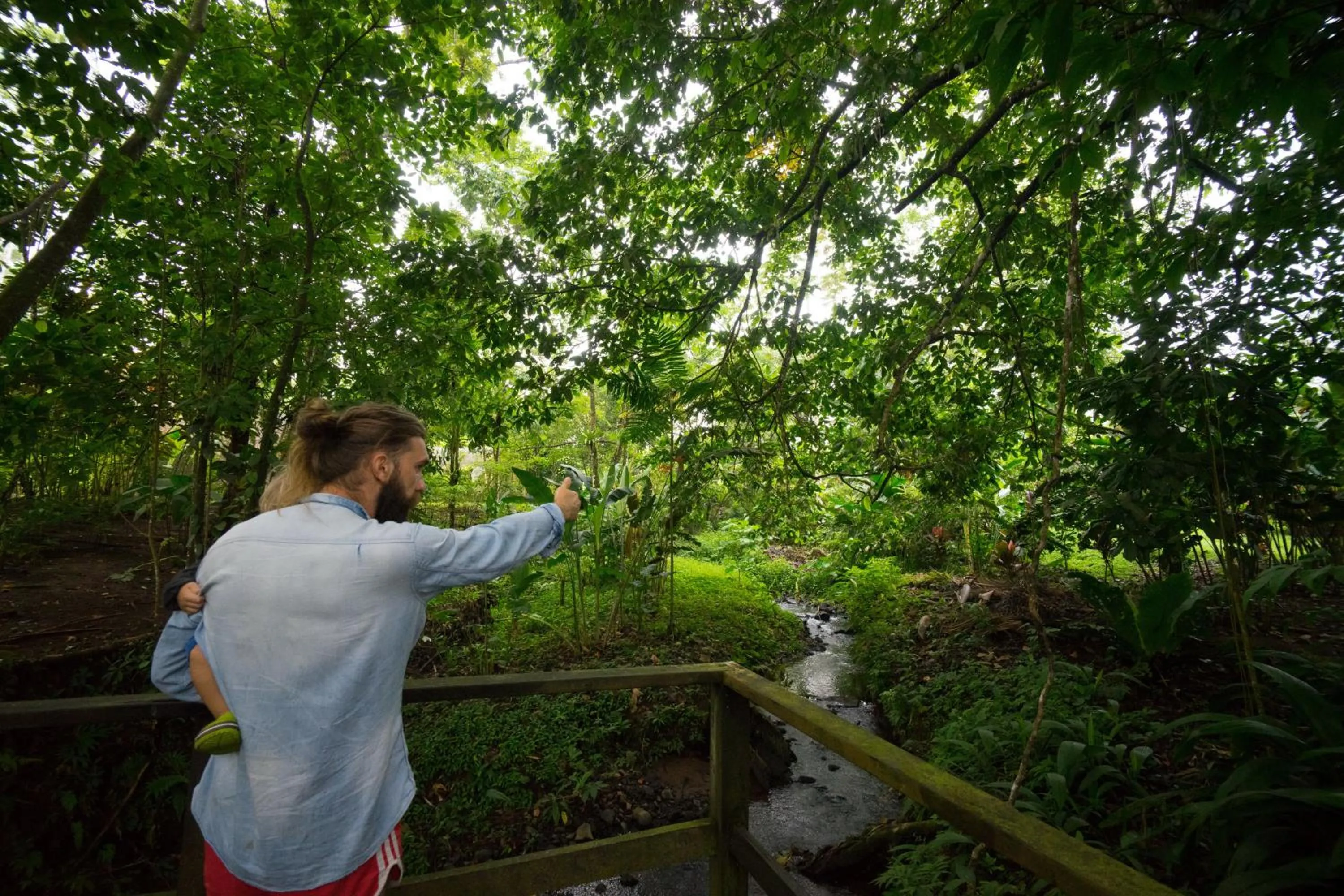 Natural landscape in Blue River Resort & Hot Springs