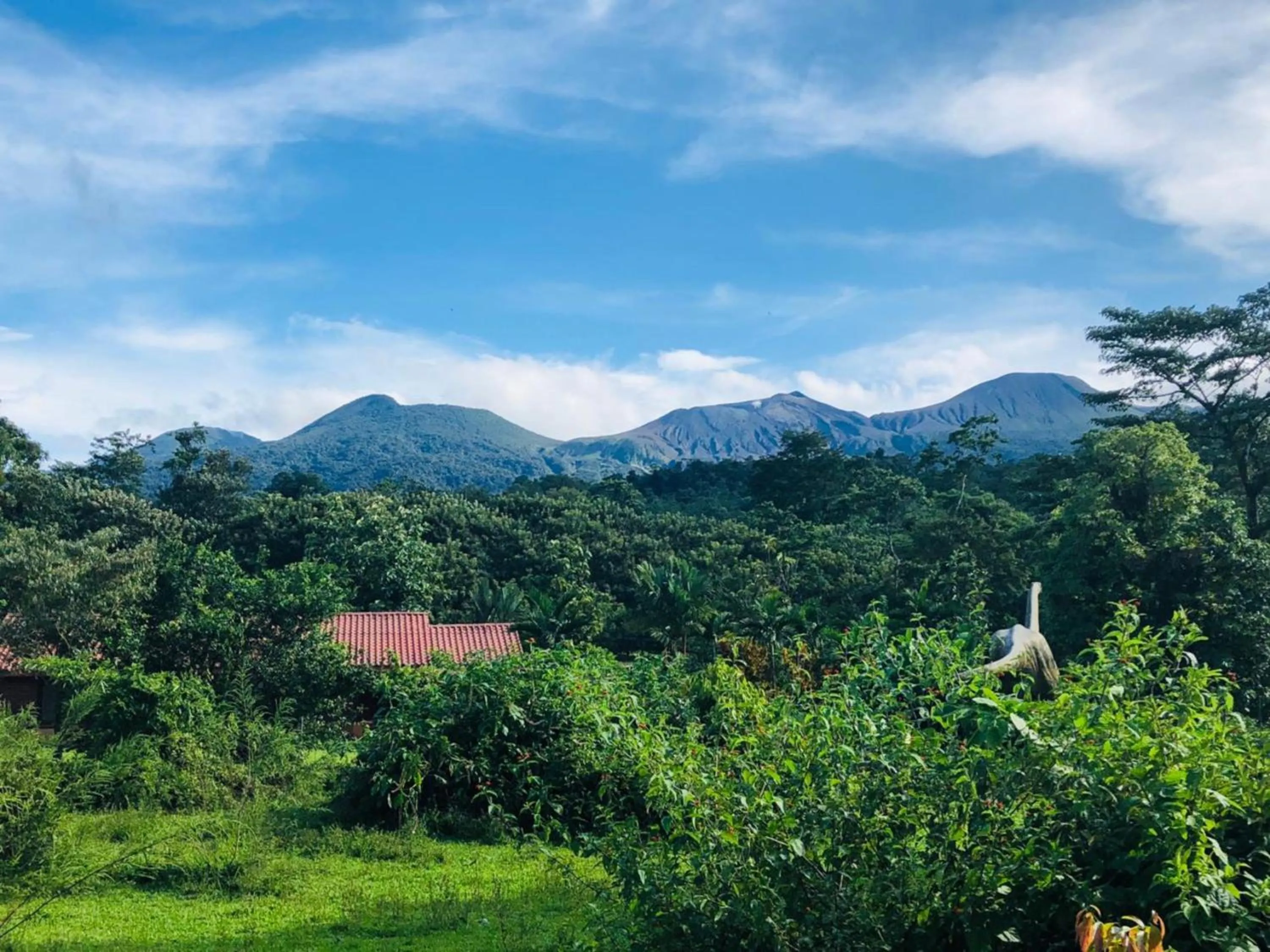 Activities in Blue River Resort & Hot Springs