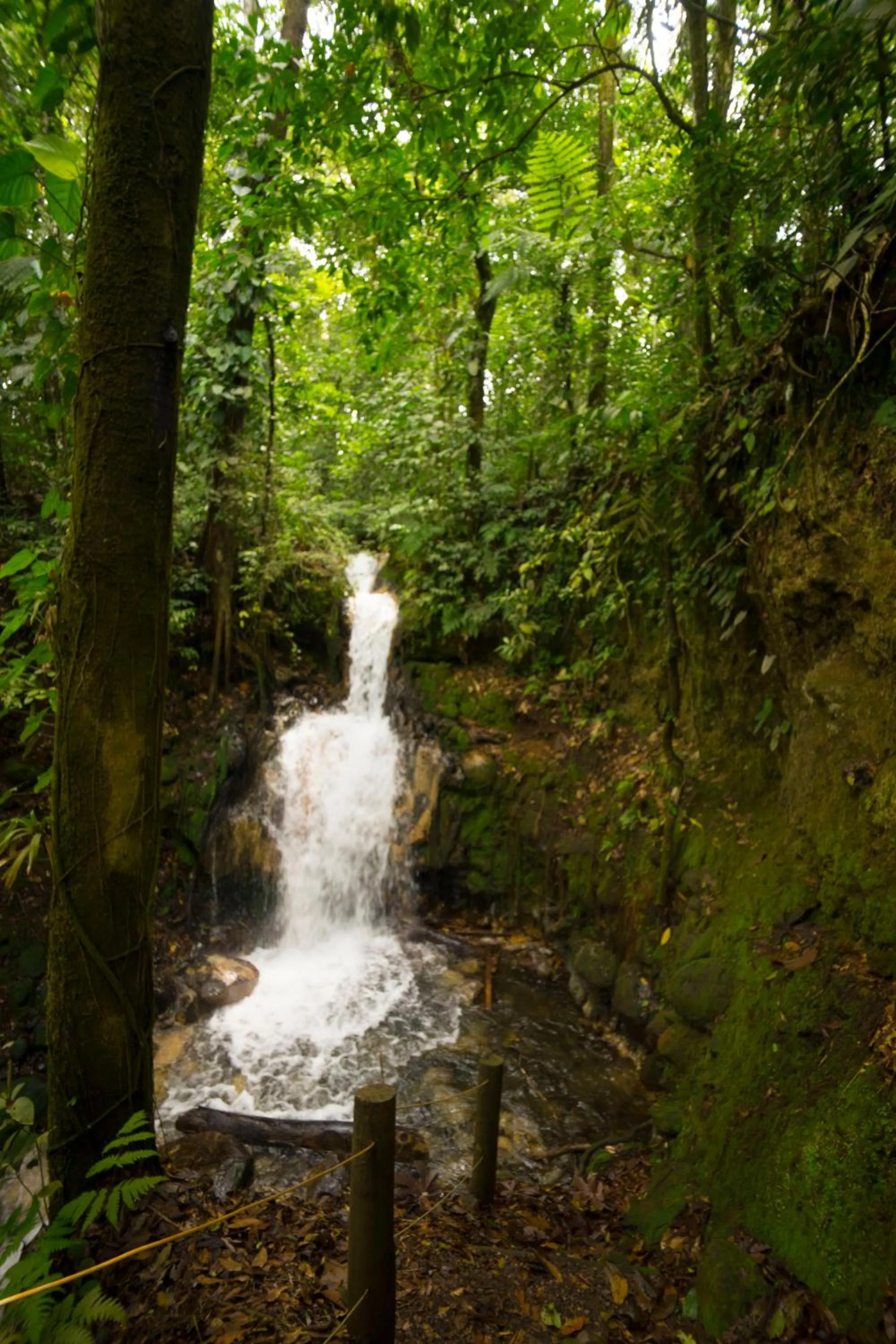 Natural landscape in Blue River Resort & Hot Springs