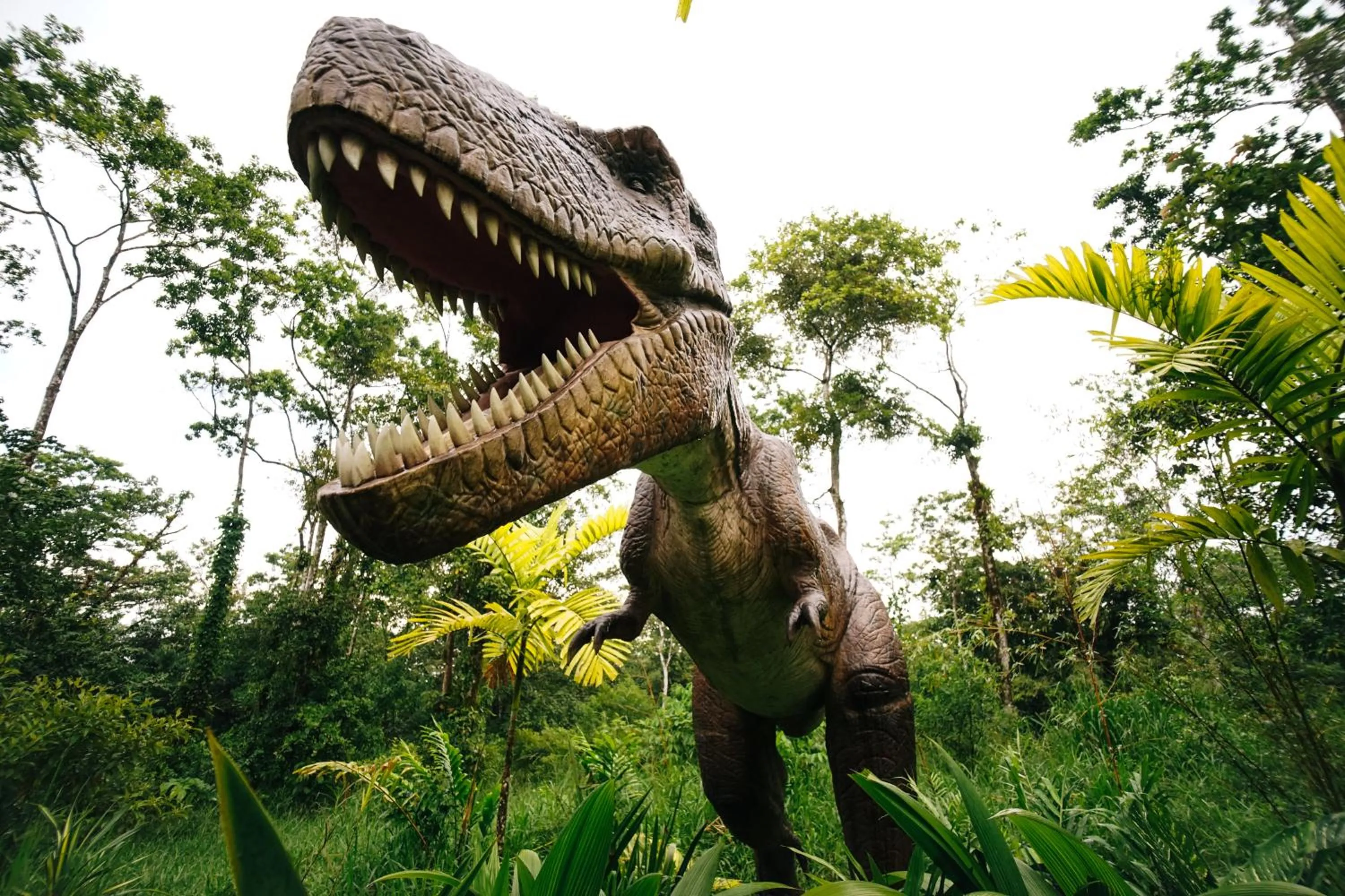 Activities in Blue River Resort & Hot Springs