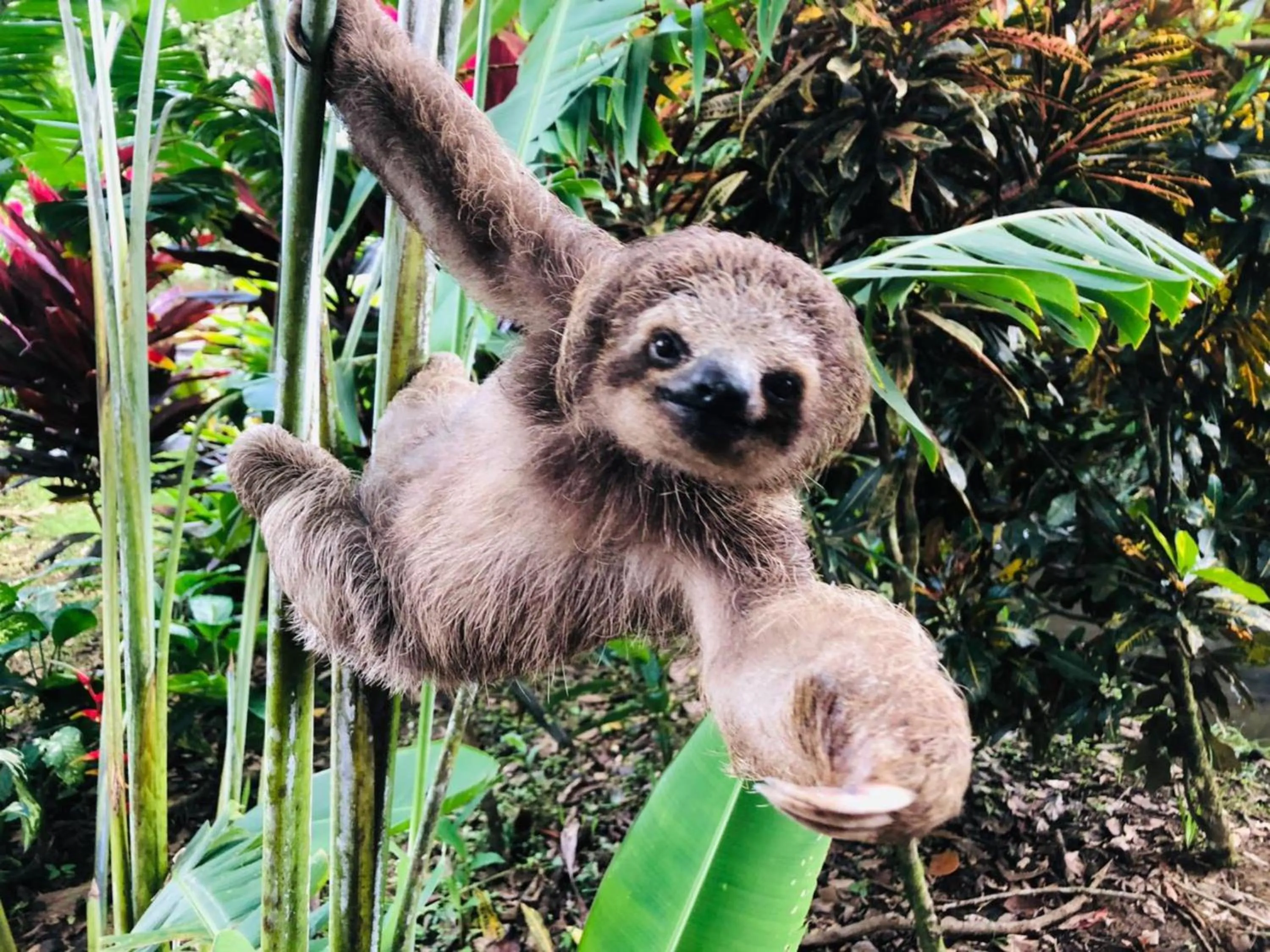 Natural landscape in Blue River Resort & Hot Springs