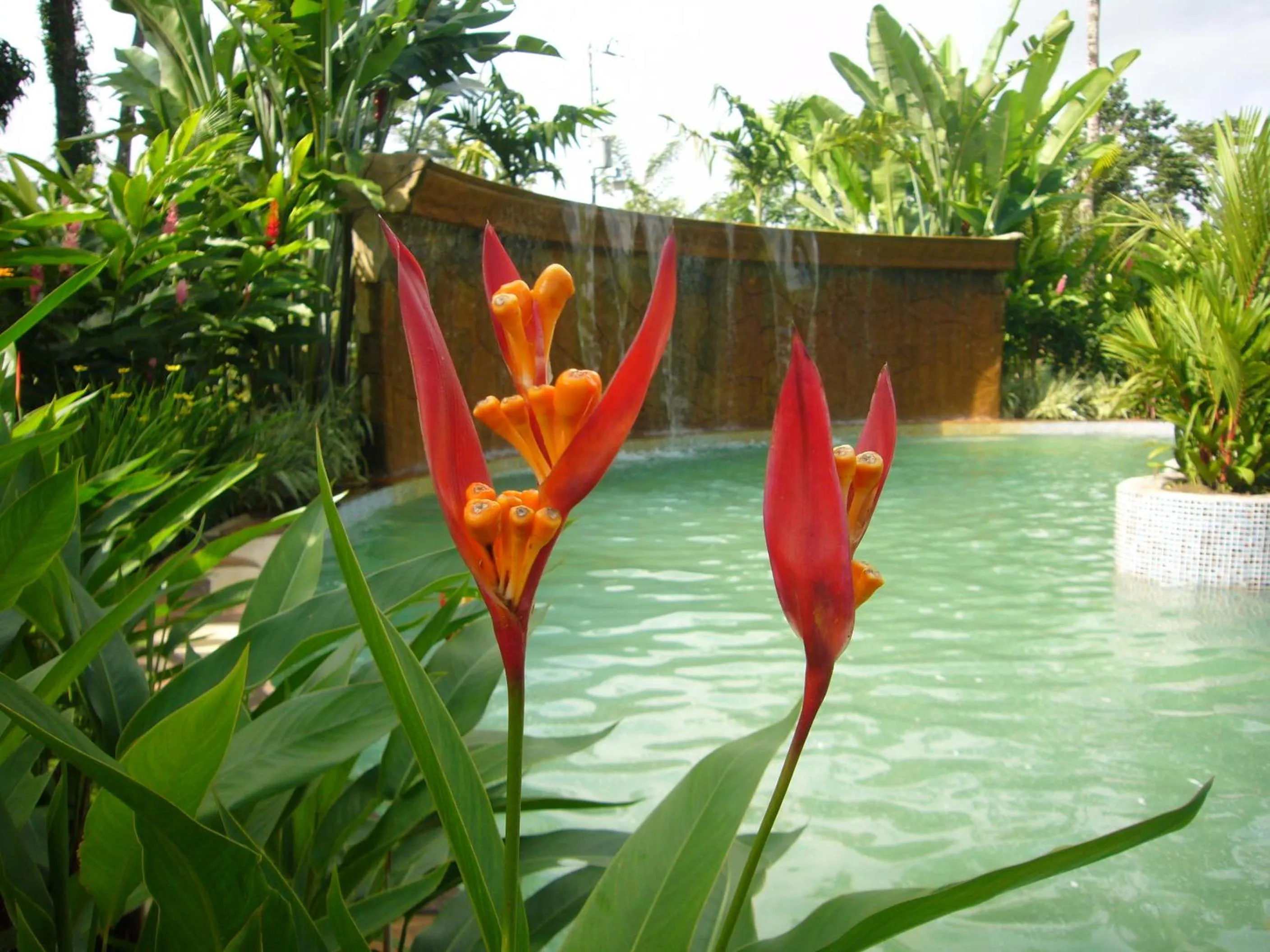 Area and facilities in Blue River Resort & Hot Springs