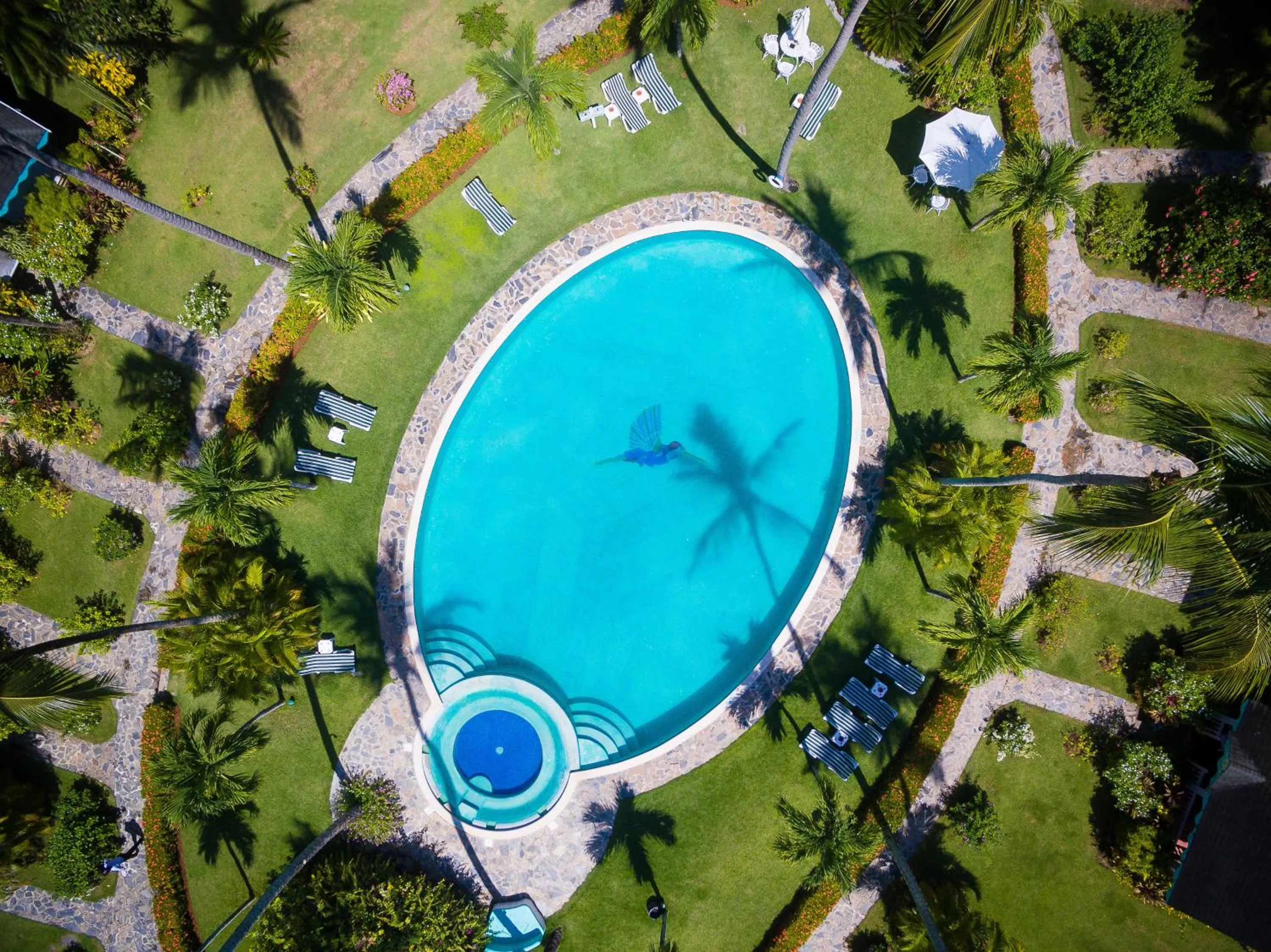 Off site in Hotel Playa Colibri