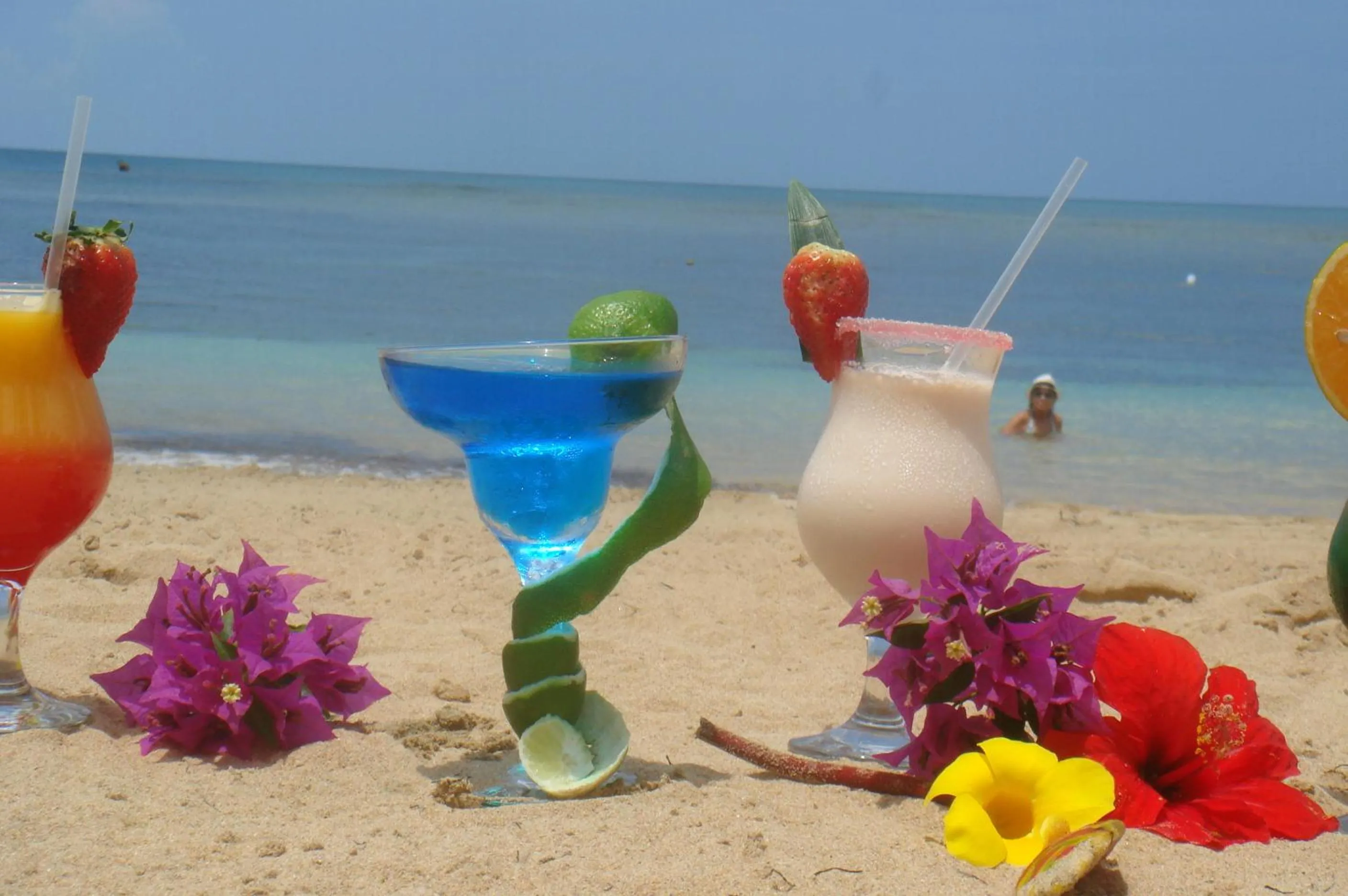 Day in Hotel Playa Colibri