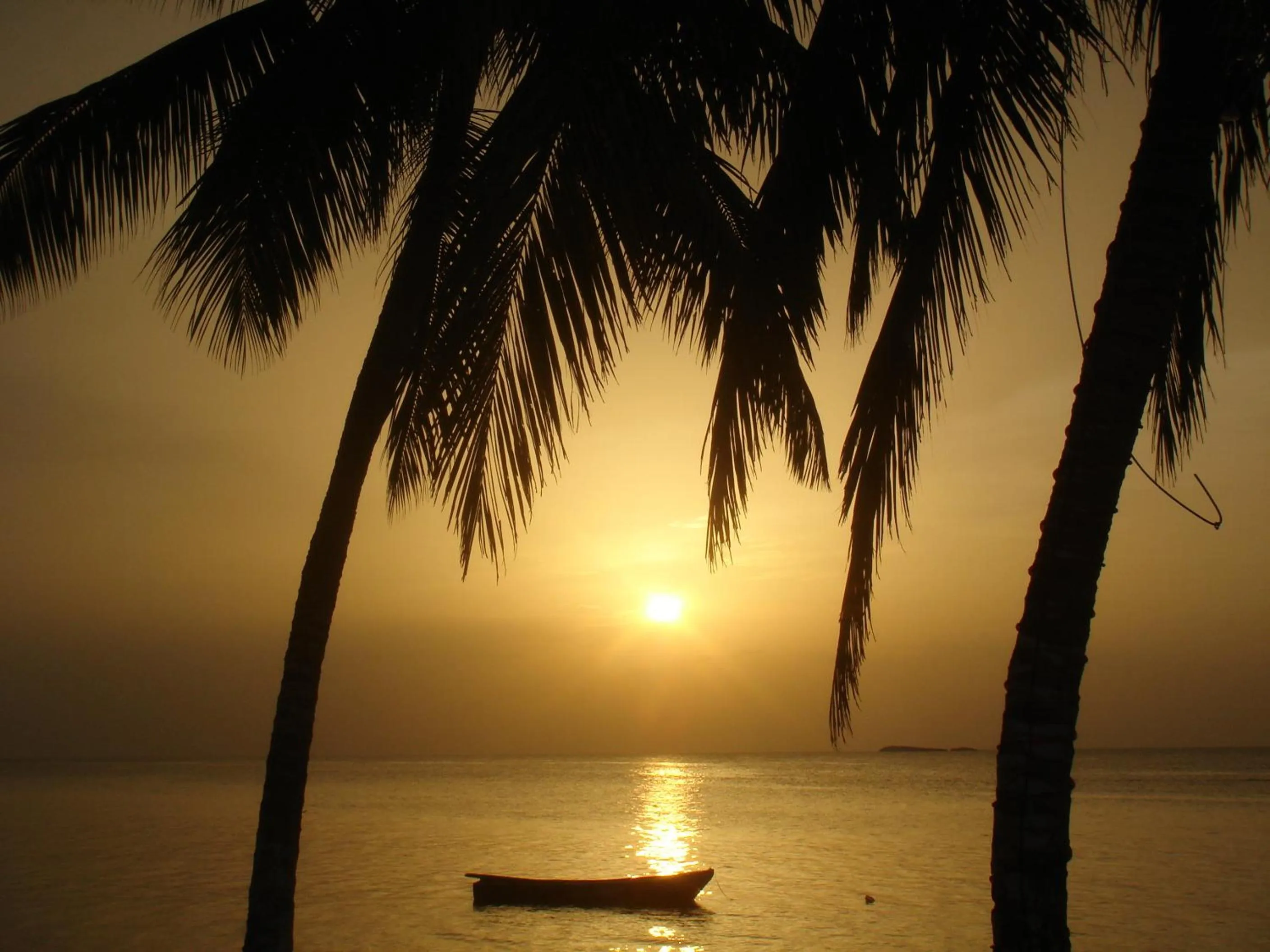 Off site in Hotel Playa Colibri