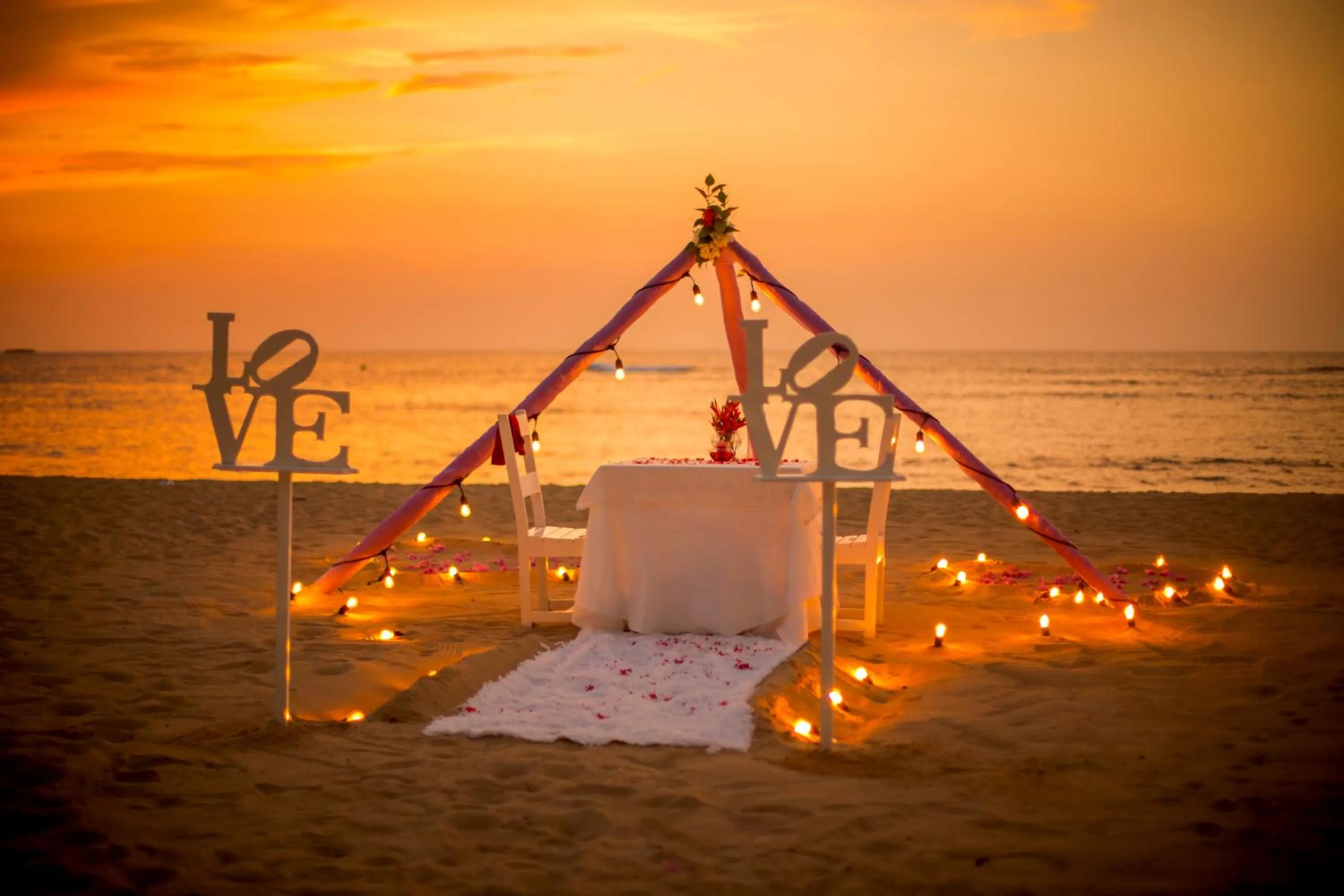 Dinner in Hotel Playa Colibri