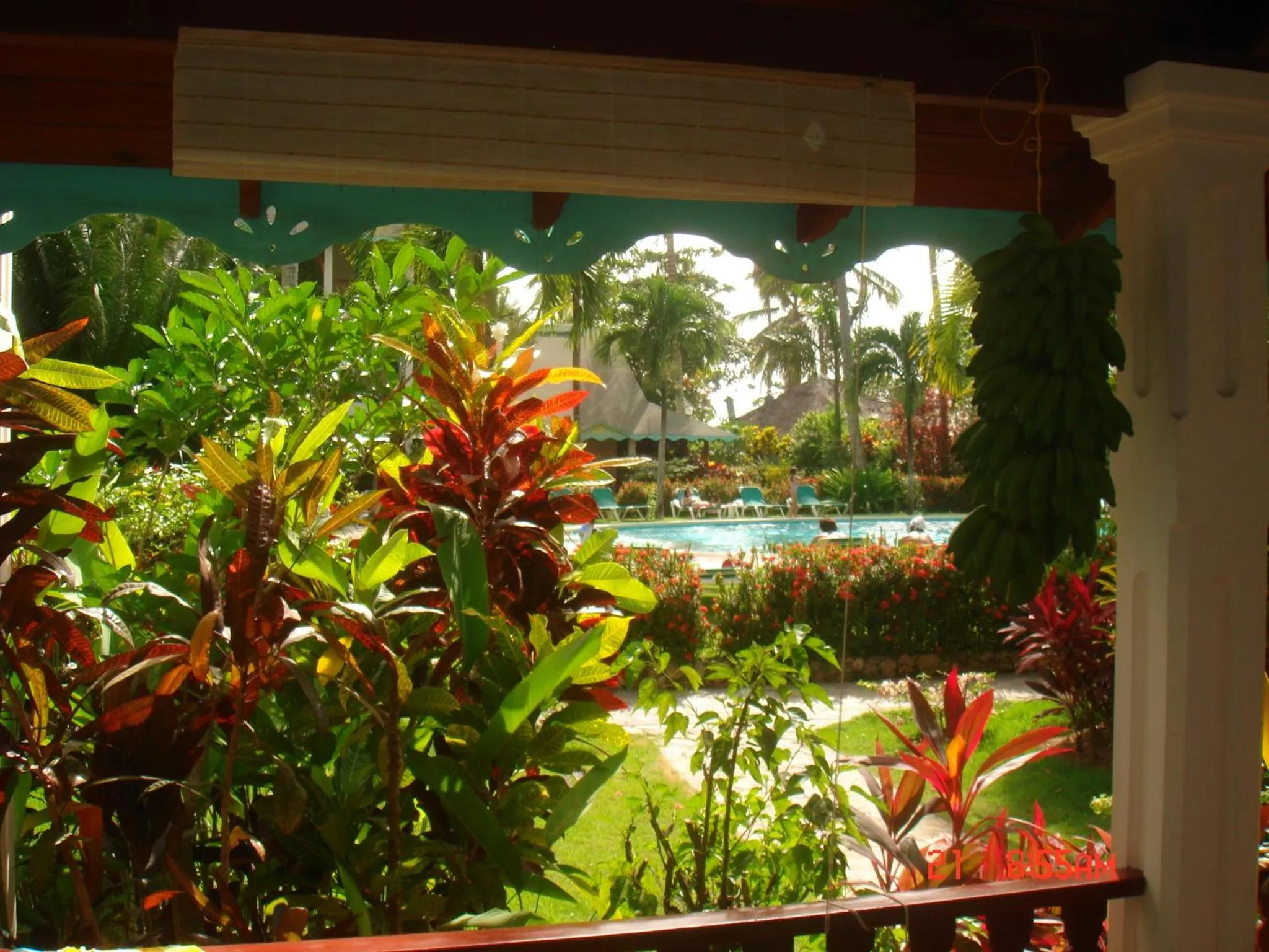 Day in Hotel Playa Colibri