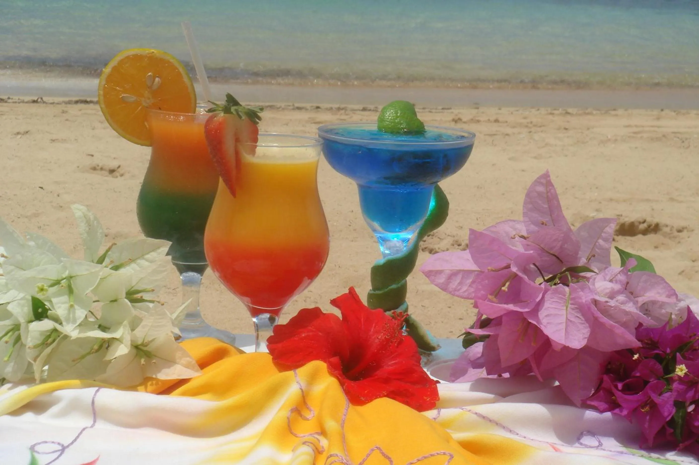 Day in Hotel Playa Colibri