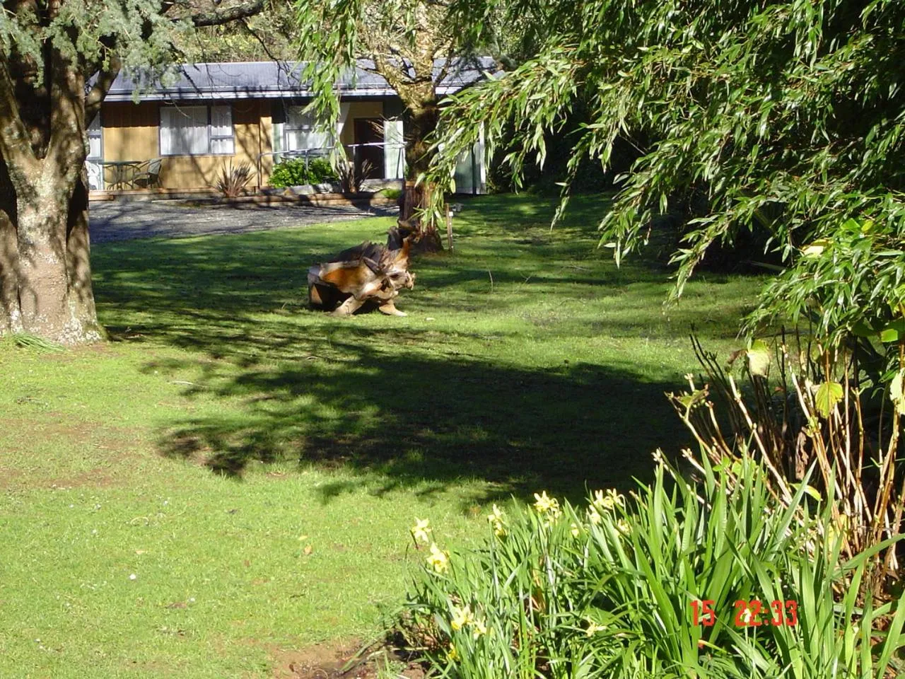 Natural landscape in Havelock Garden Motel