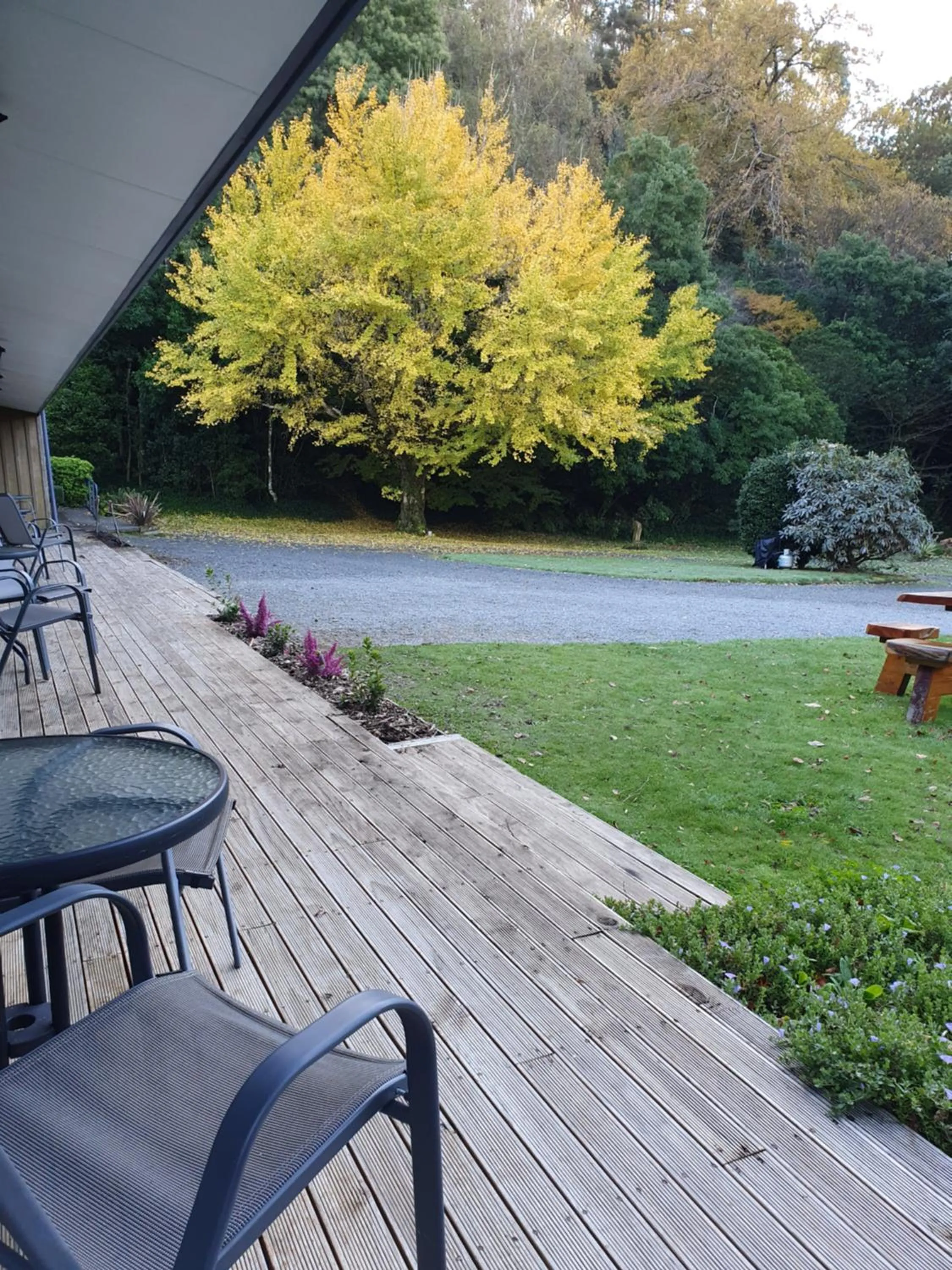 Patio in Havelock Garden Motel