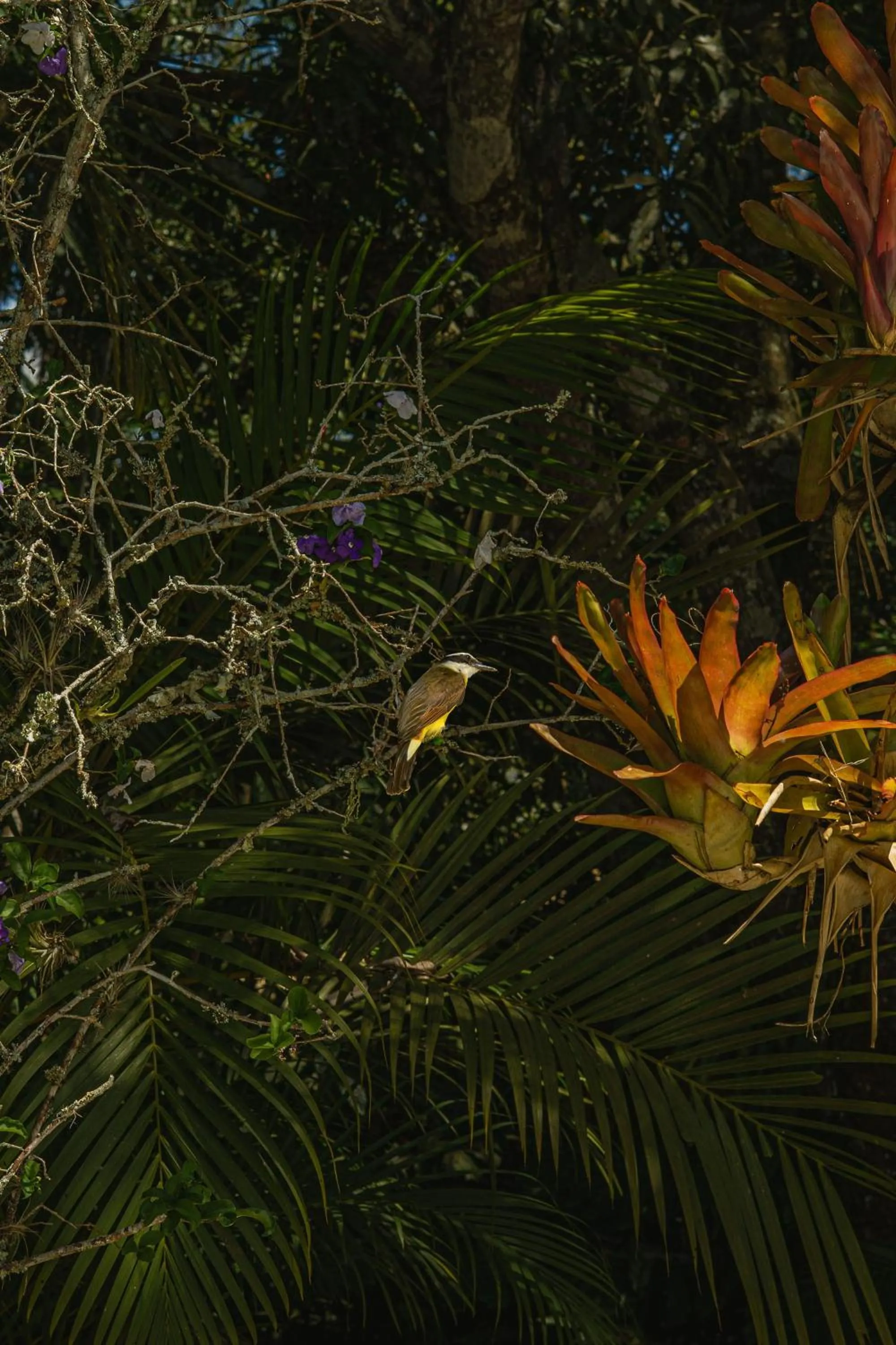 Urikana Boutique Hotel