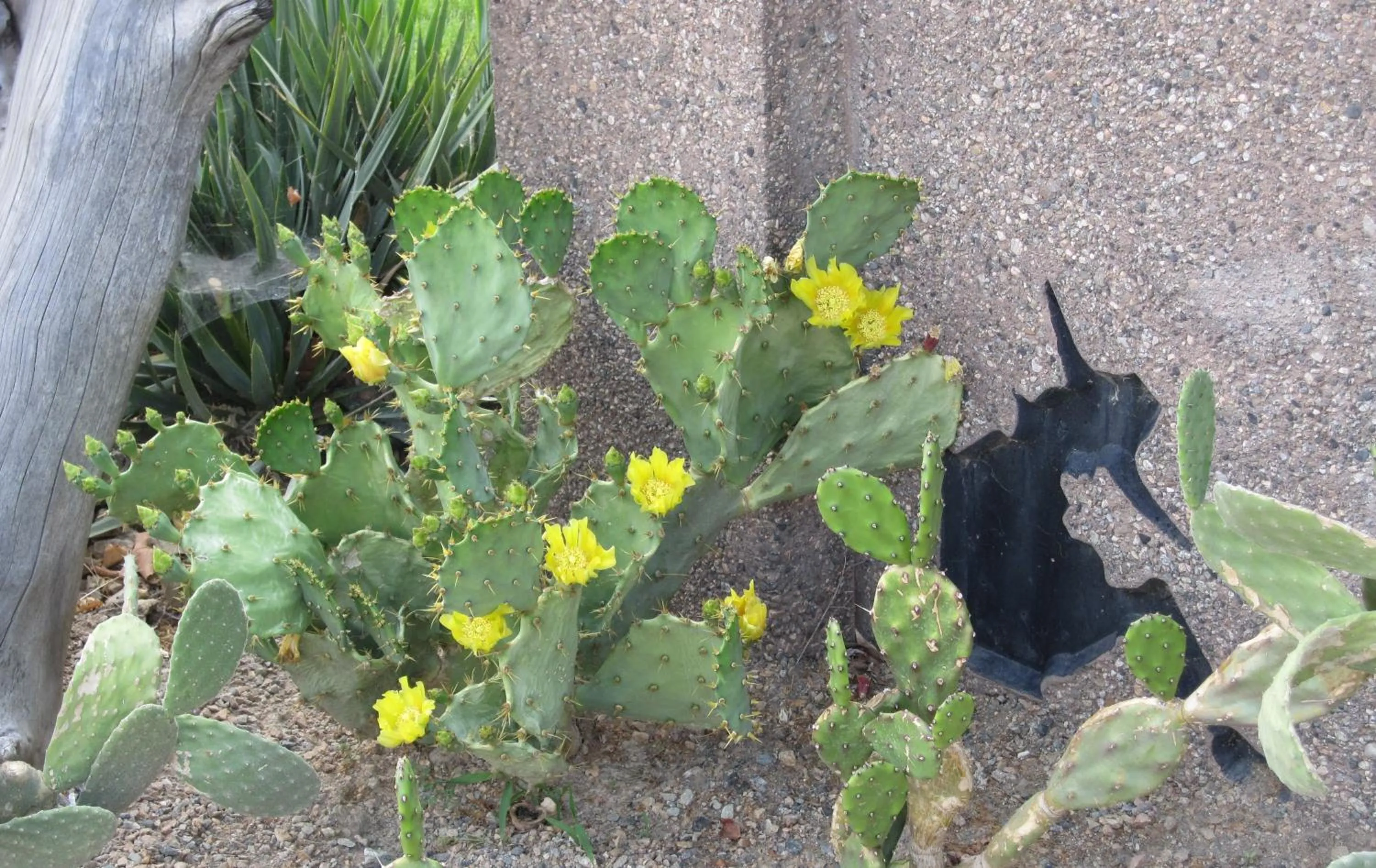 Property logo or sign in Sandy Beach Suites
