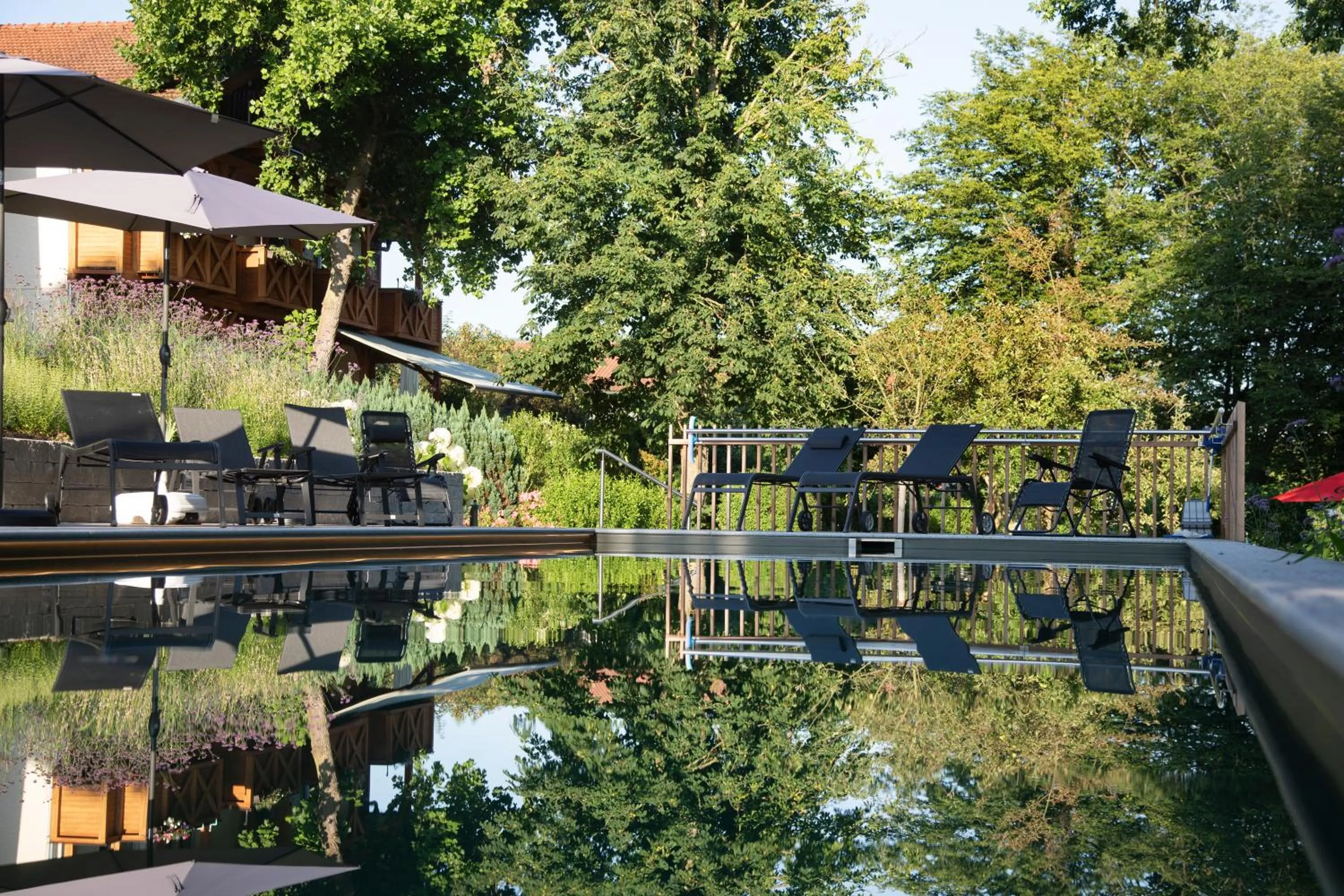 Garden view in Hotel Quellenhof