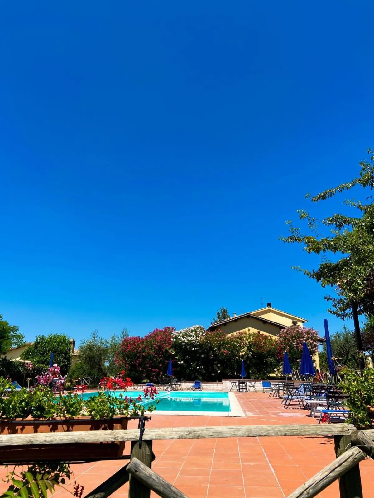 Garden view in Cardinal Girolamo