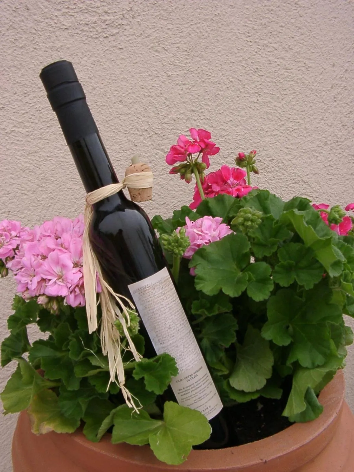 Decorative detail in Cardinal Girolamo