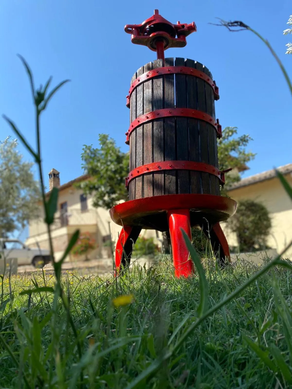 Garden view in Cardinal Girolamo