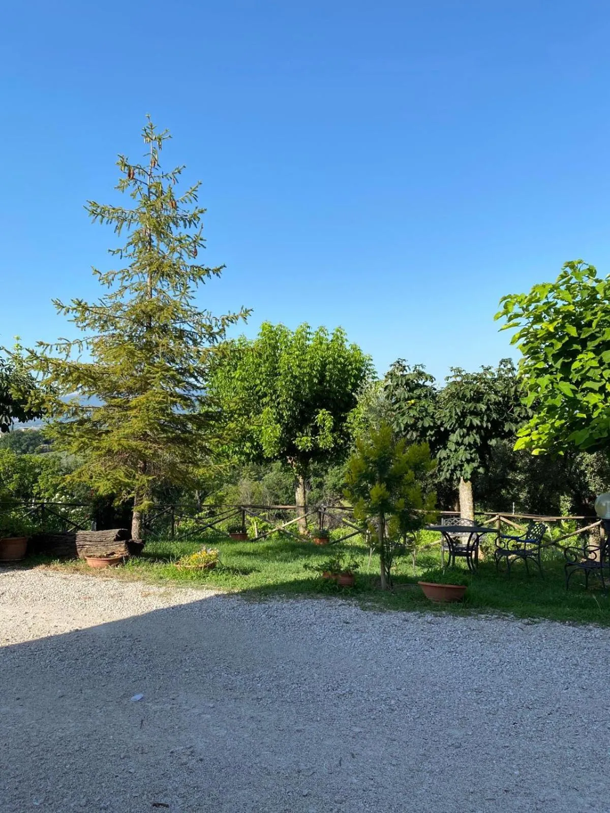 Garden view in Cardinal Girolamo