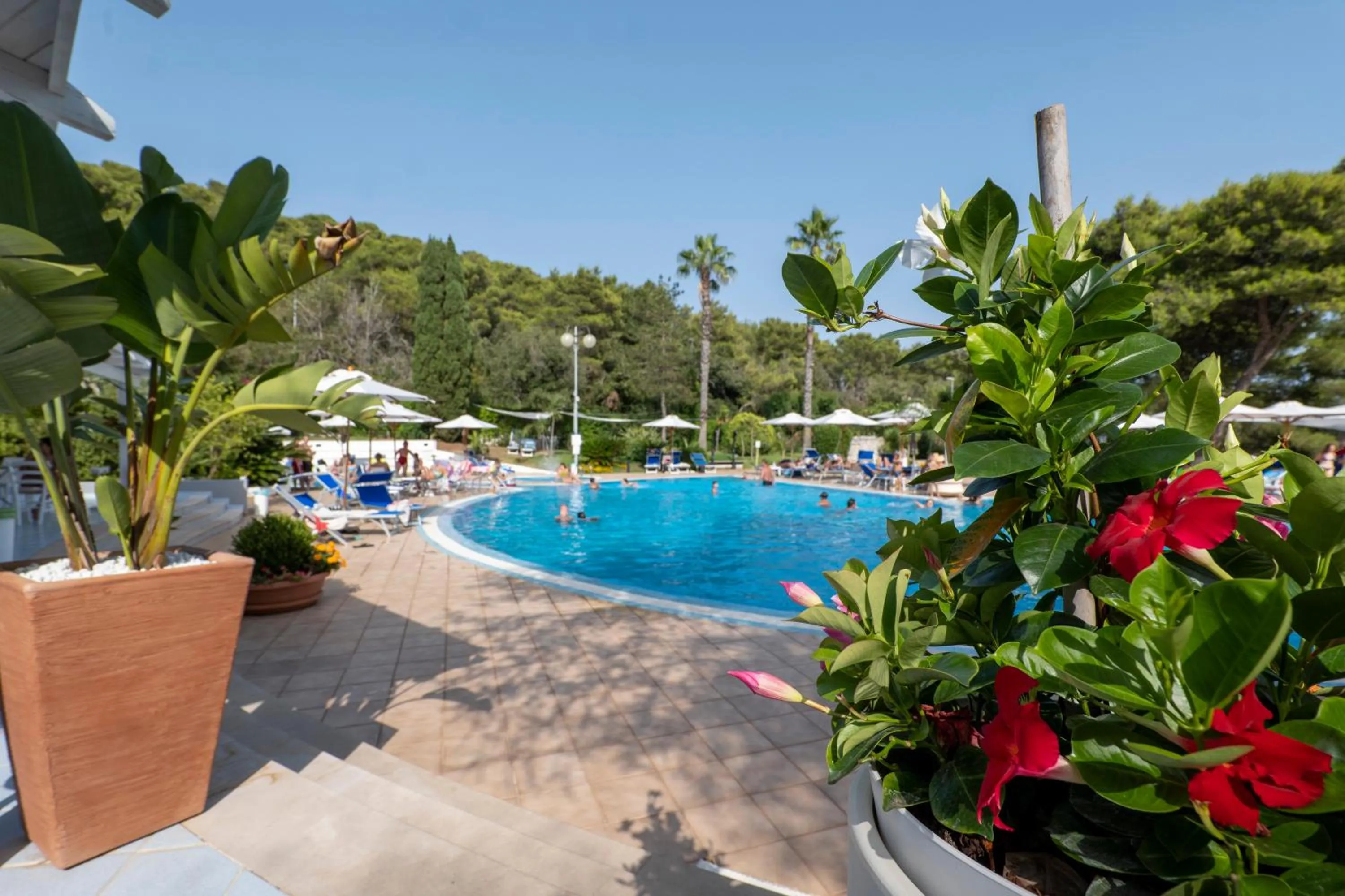 Swimming pool in Hotel Santa Lucia