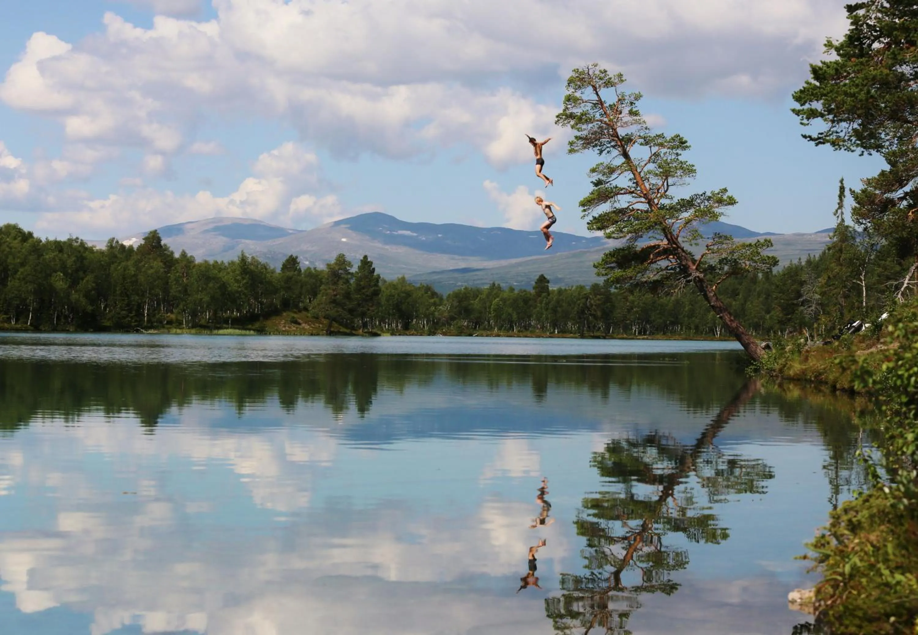 Summer in Vålådalens Fjällstation
