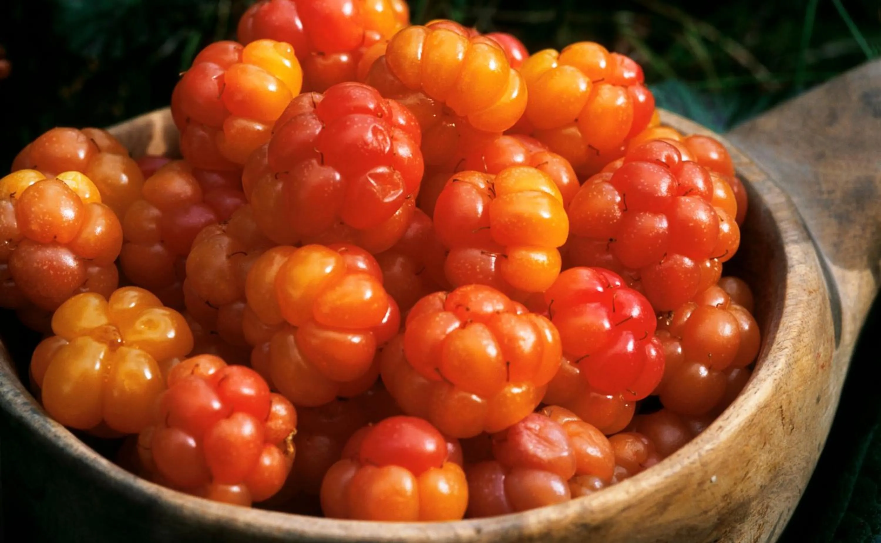 Food in Vålådalens Fjällstation