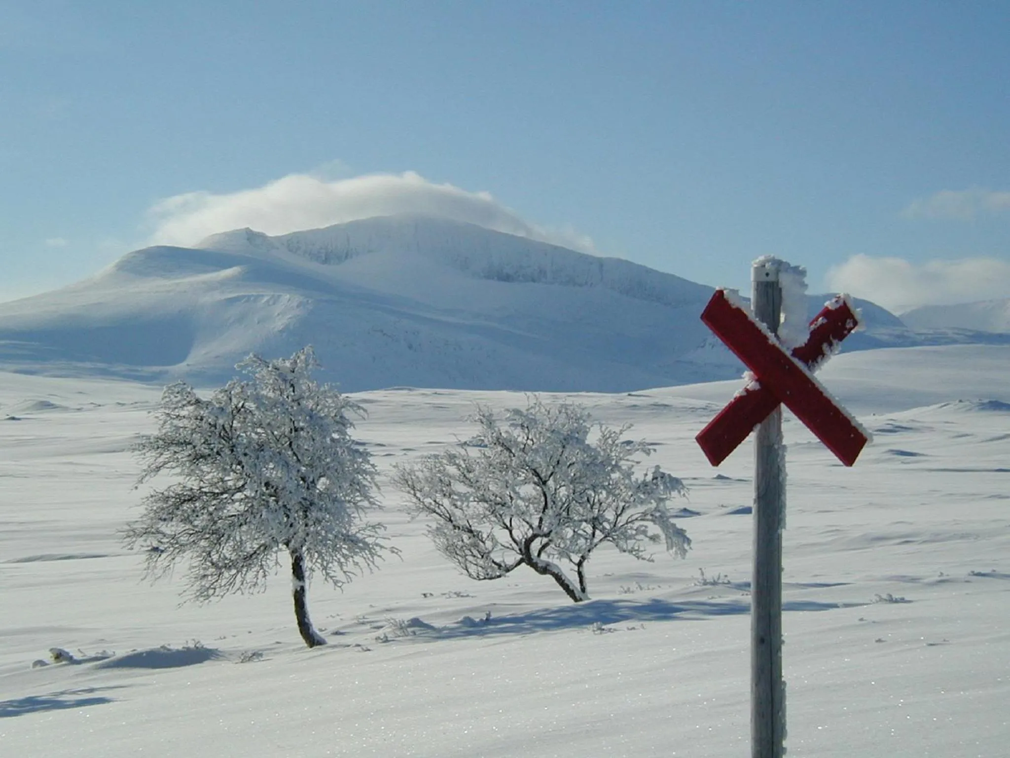 Natural landscape in Vålådalens Fjällstation