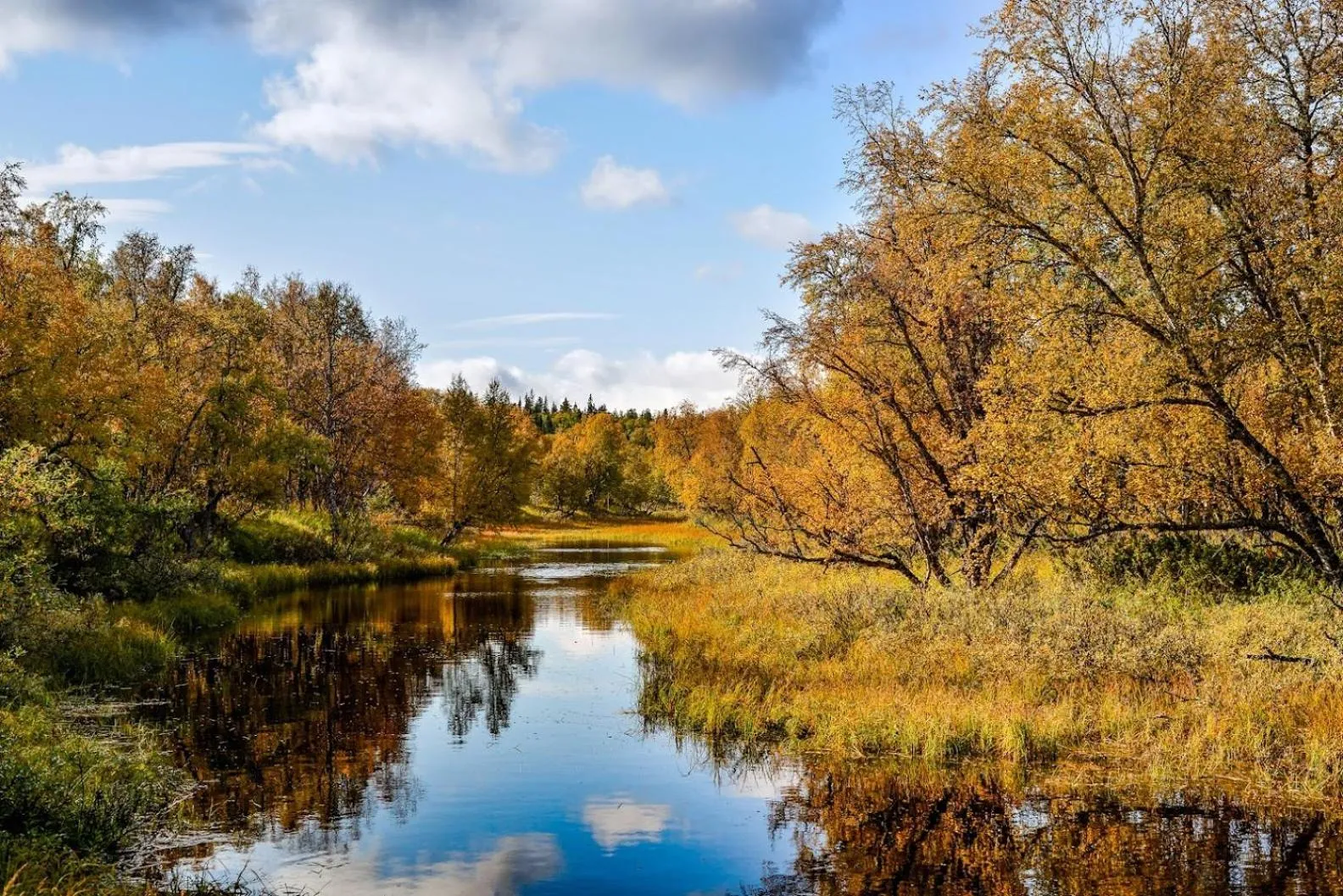 Autumn in Vålådalens Fjällstation