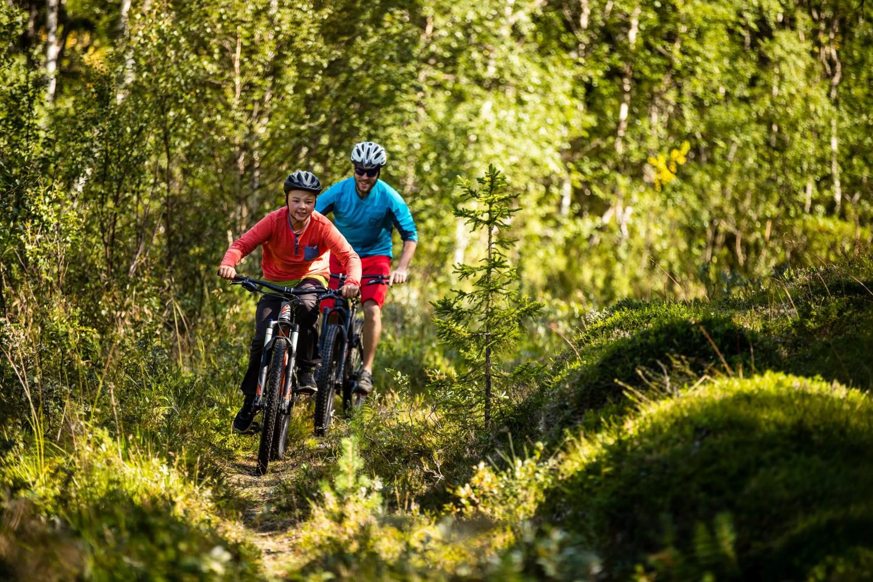 Summer in Vålådalens Fjällstation