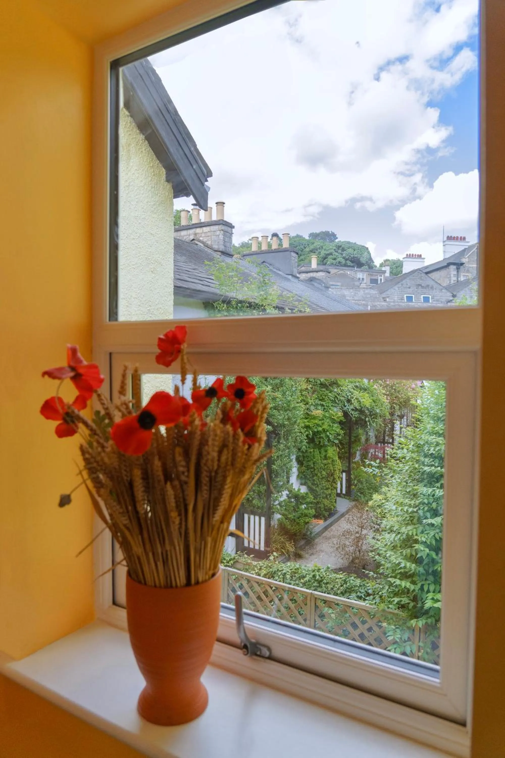 Garden in The Cottage