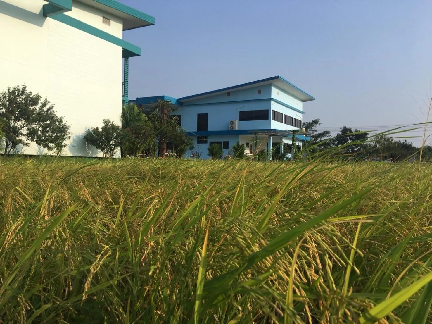 Property building in Menam Resort