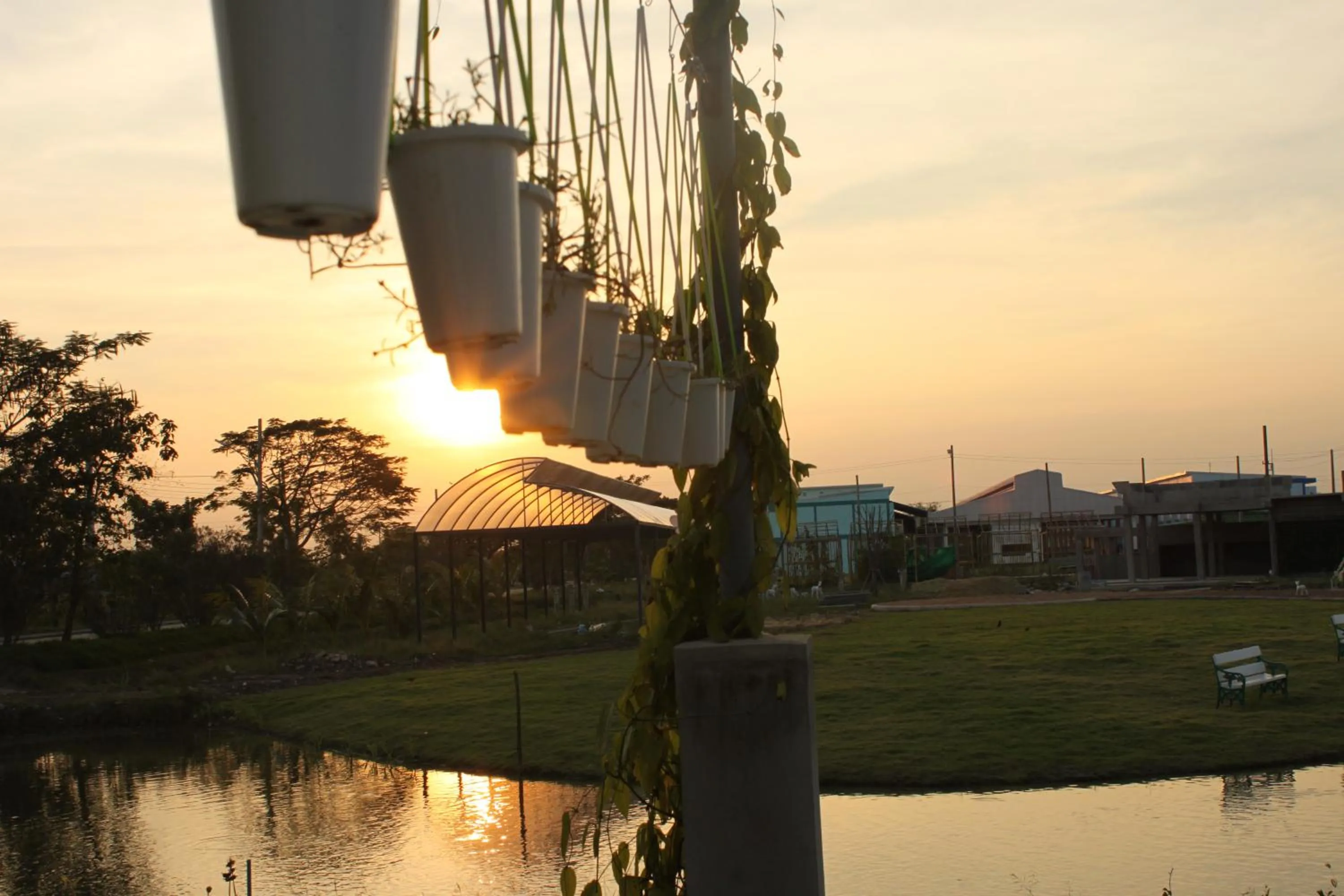 Sunset in Menam Resort